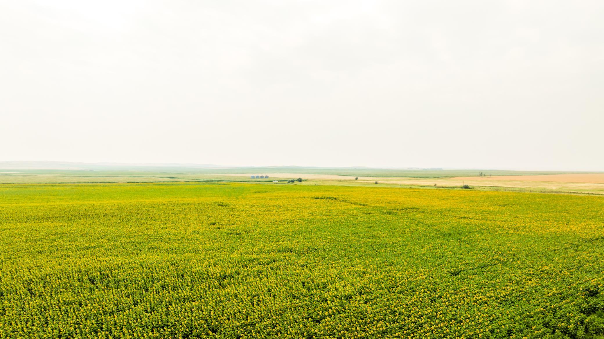 TBD Sec 24 31 St Se Lot 2, North Lemmon ND 58639 - Photo 11 of 24