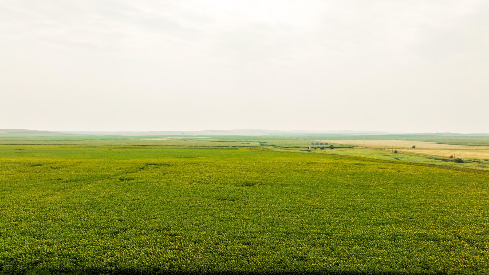 TBD Sec 24 31 St Se Lot 2, North Lemmon ND 58639 - Photo 12 of 24