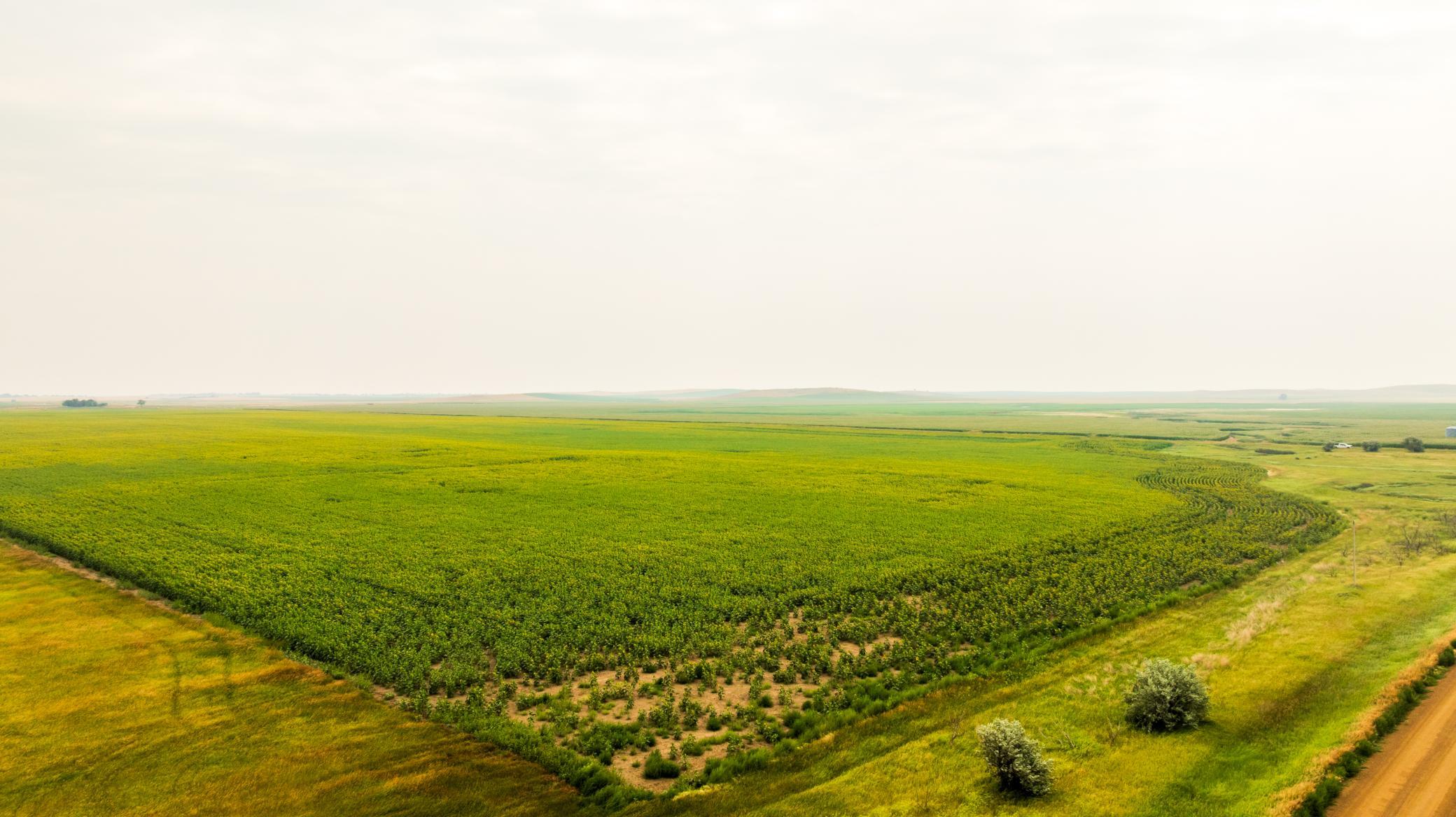 TBD Sec 24 31 St Se Lot 2, North Lemmon ND 58639 - Photo 13 of 24