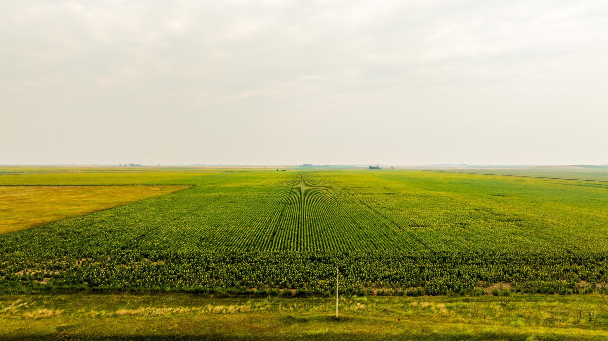 TBD Sec 24 31 St Se Lot 2, North Lemmon ND 58639 - Photo 14 of 24