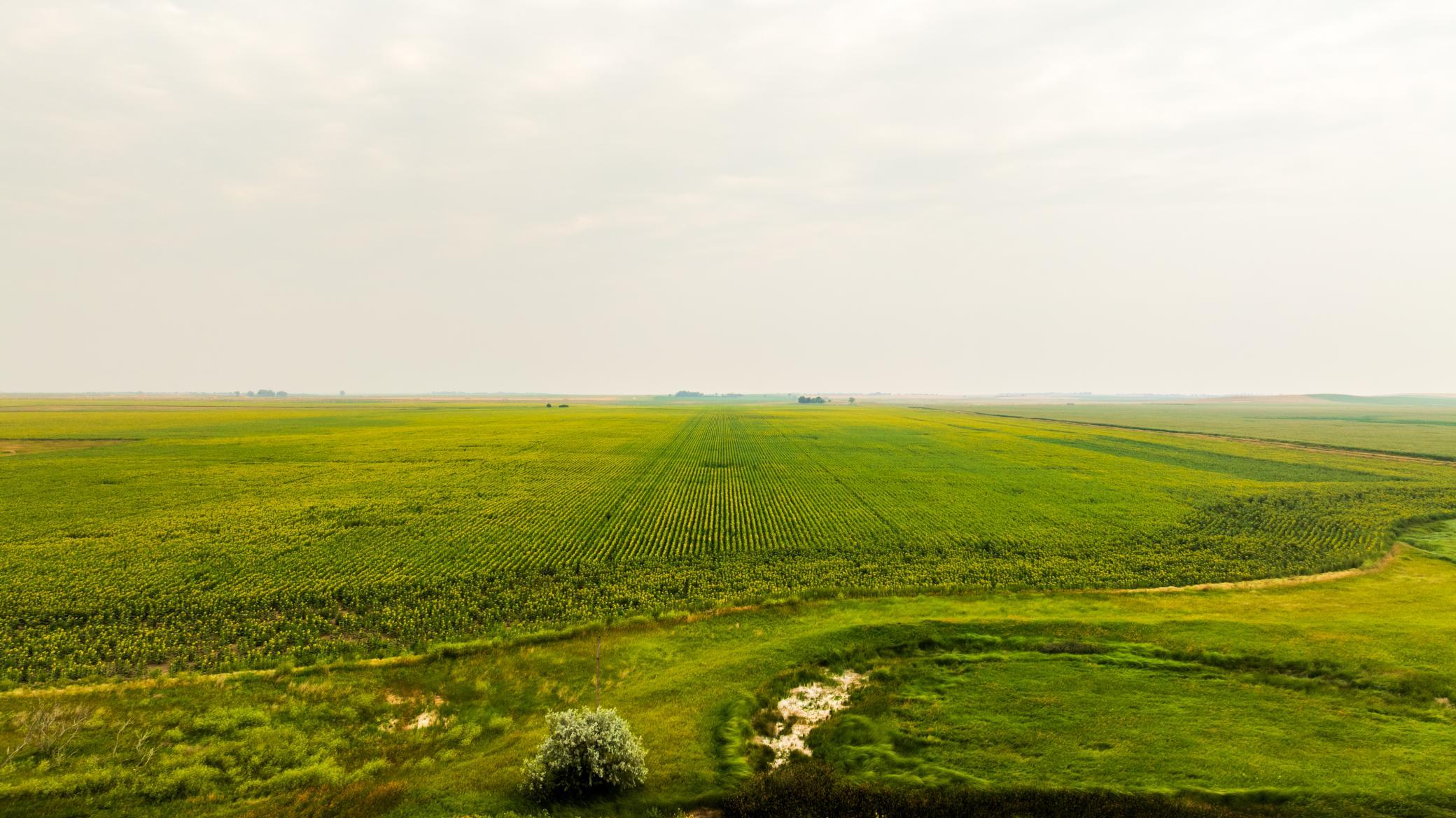 TBD Sec 24 31 St Se Lot 2, North Lemmon ND 58639 - Photo 15 of 24