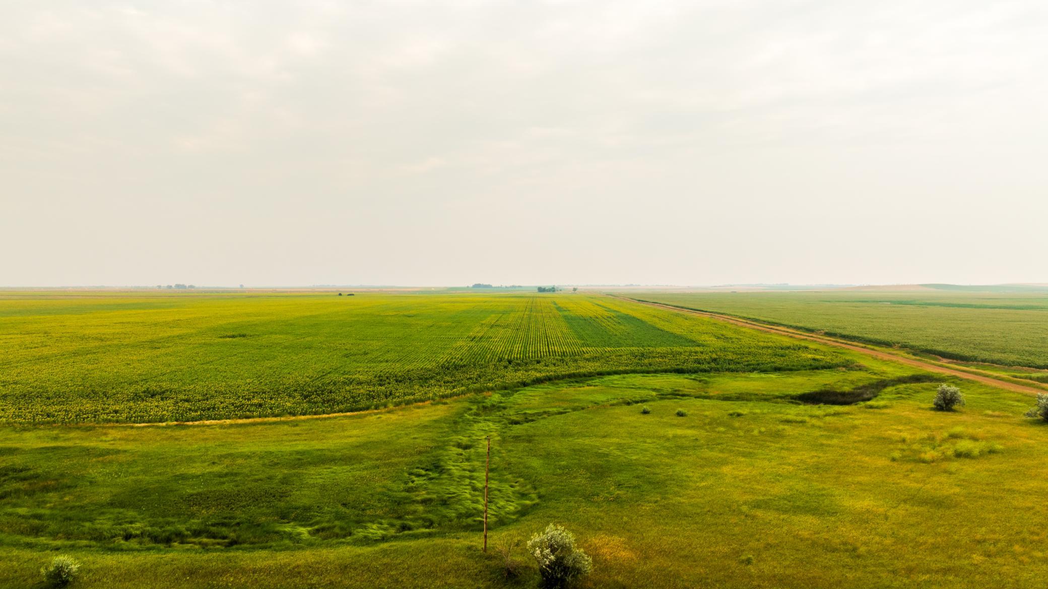 TBD Sec 24 31 St Se Lot 2, North Lemmon ND 58639 - Photo 16 of 24