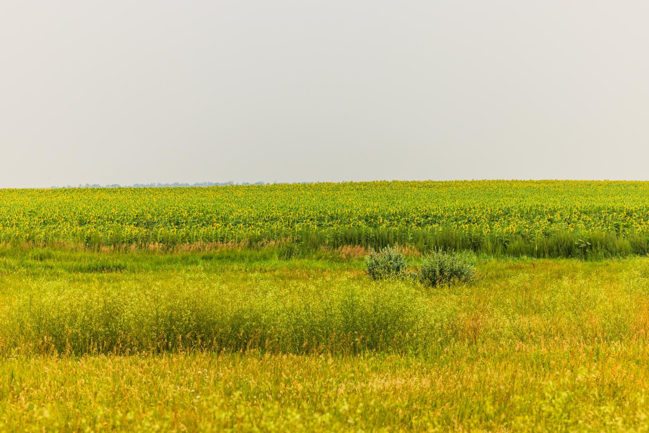TBD Sec 24 31 St Se Lot 2, North Lemmon ND 58639 - Photo 17 of 24