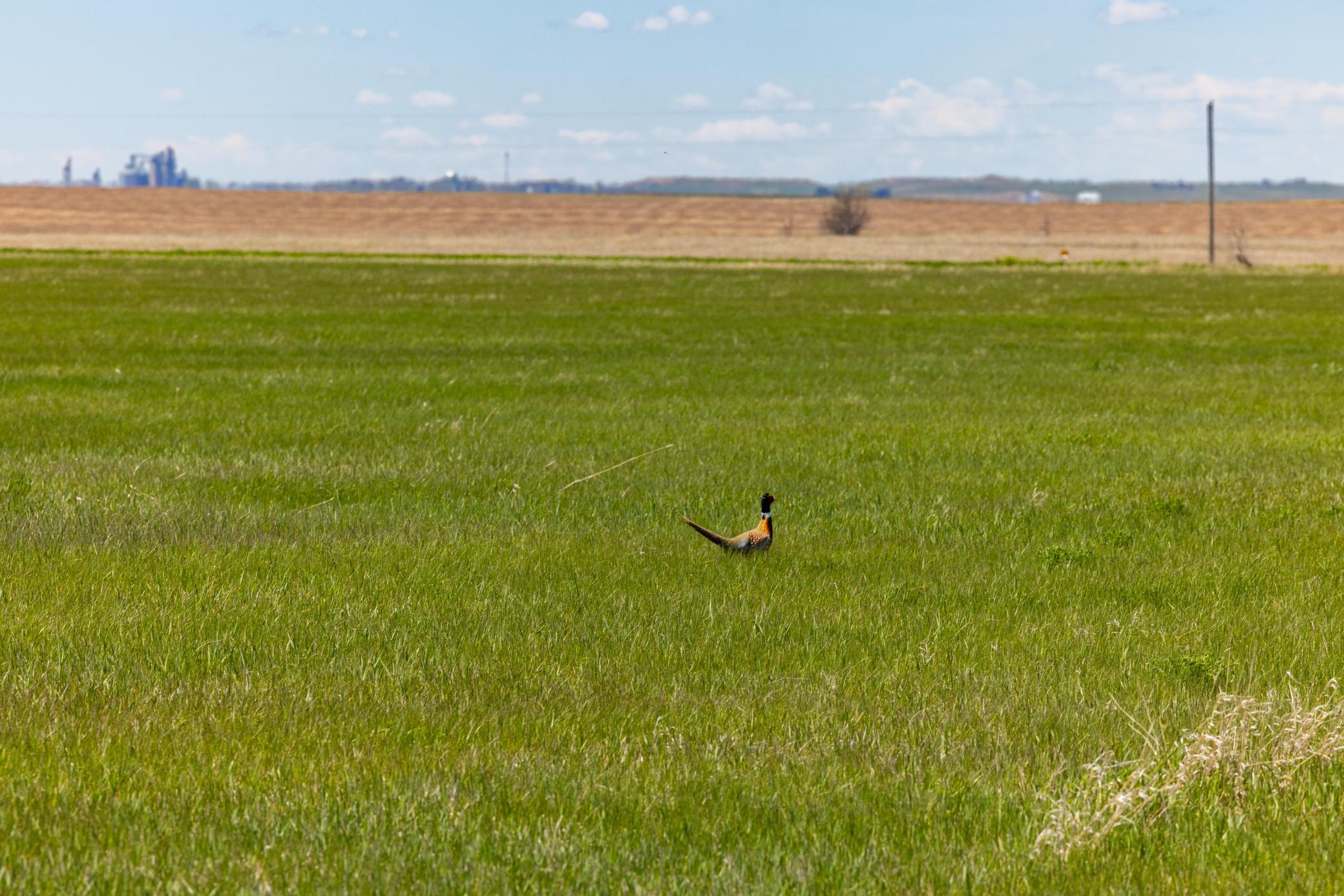 TBD Sec 24 31 St Se Lot 2, North Lemmon ND 58639 - Photo 22 of 24