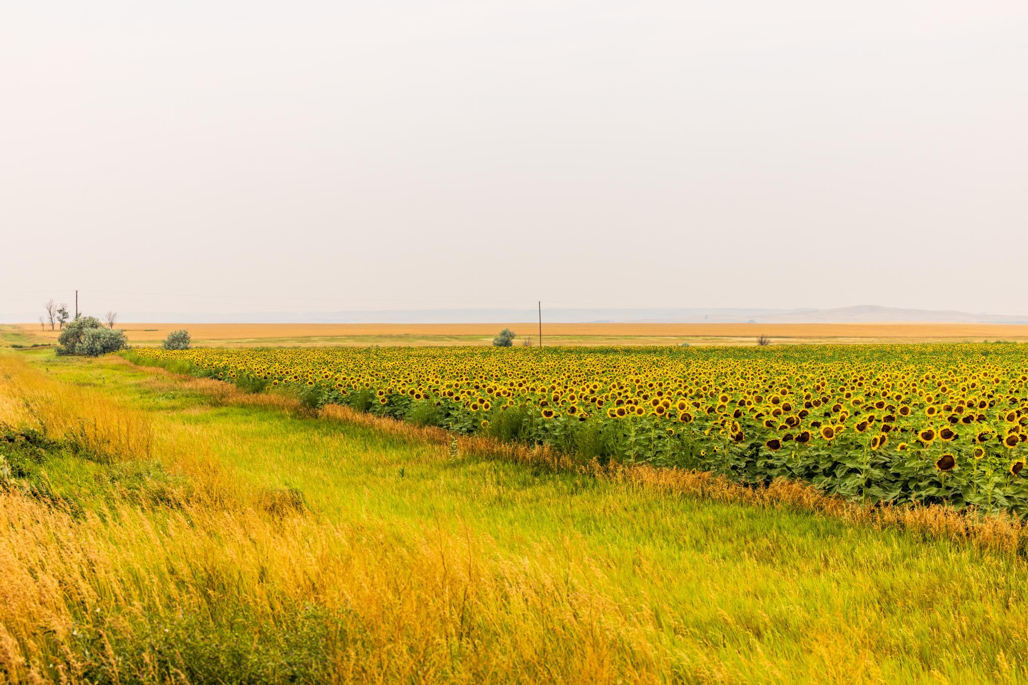 TBD Sec 24 31 St Se Lot 2, North Lemmon ND 58639 - Photo 8 of 24