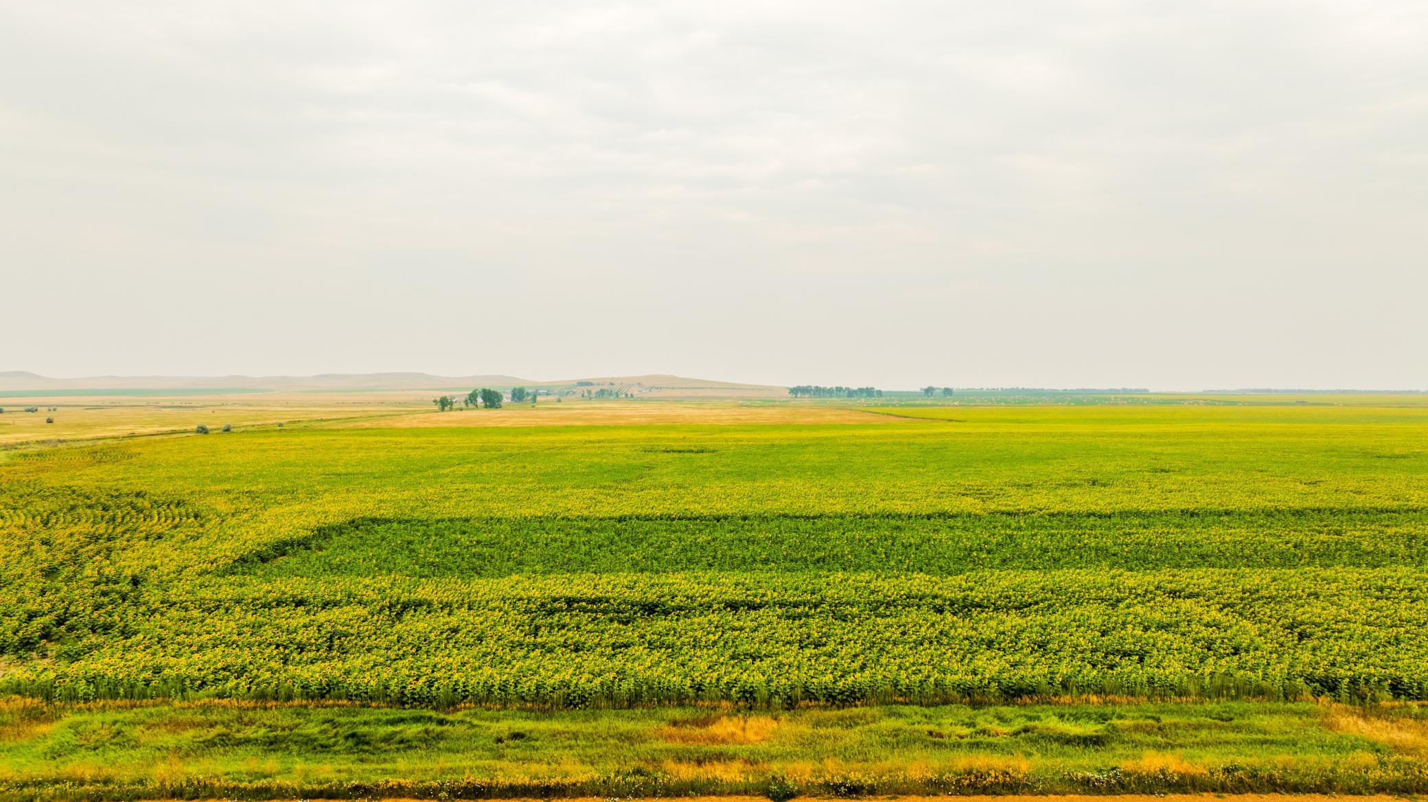 TBD Sec 24 31 St Se Lot 2, North Lemmon ND 58639 - Photo 10 of 24