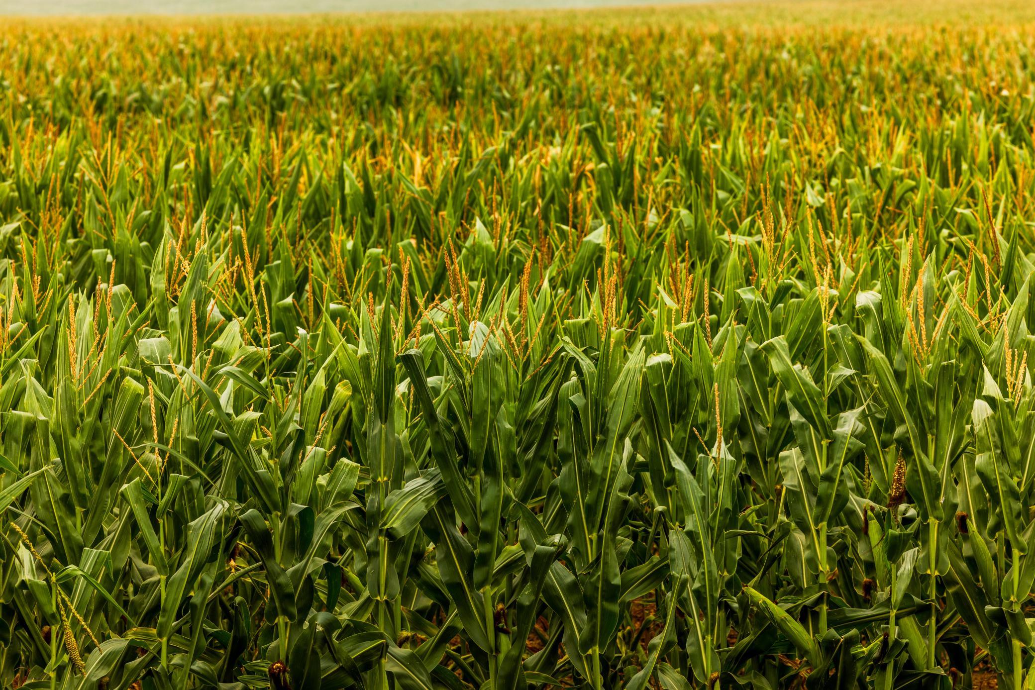 TBD Sec 26 30 St Se Lot 3, North Lemmon ND 58639 - Photo 11 of 39