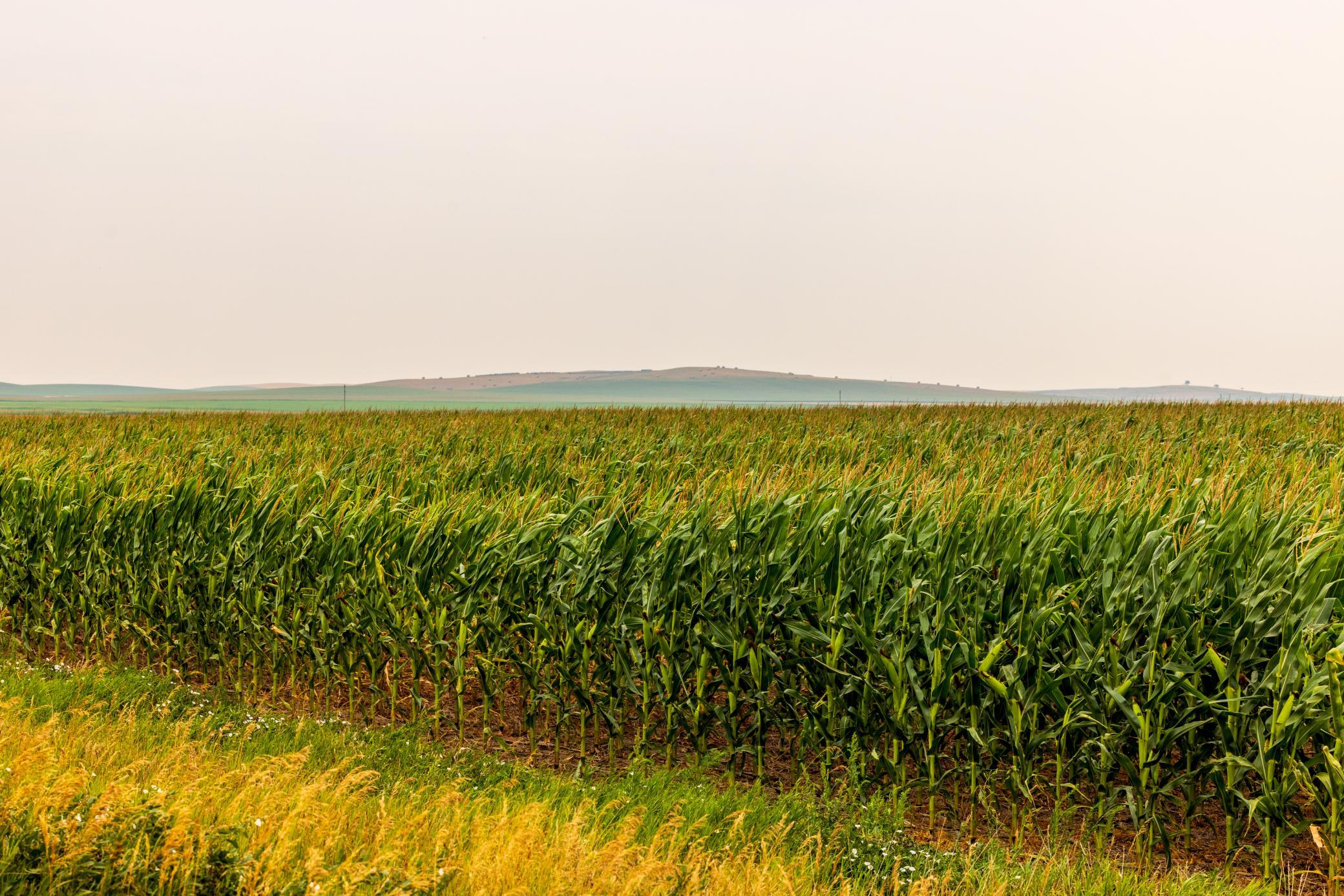TBD Sec 26 30 St Se Lot 3, North Lemmon ND 58639 - Photo 15 of 39