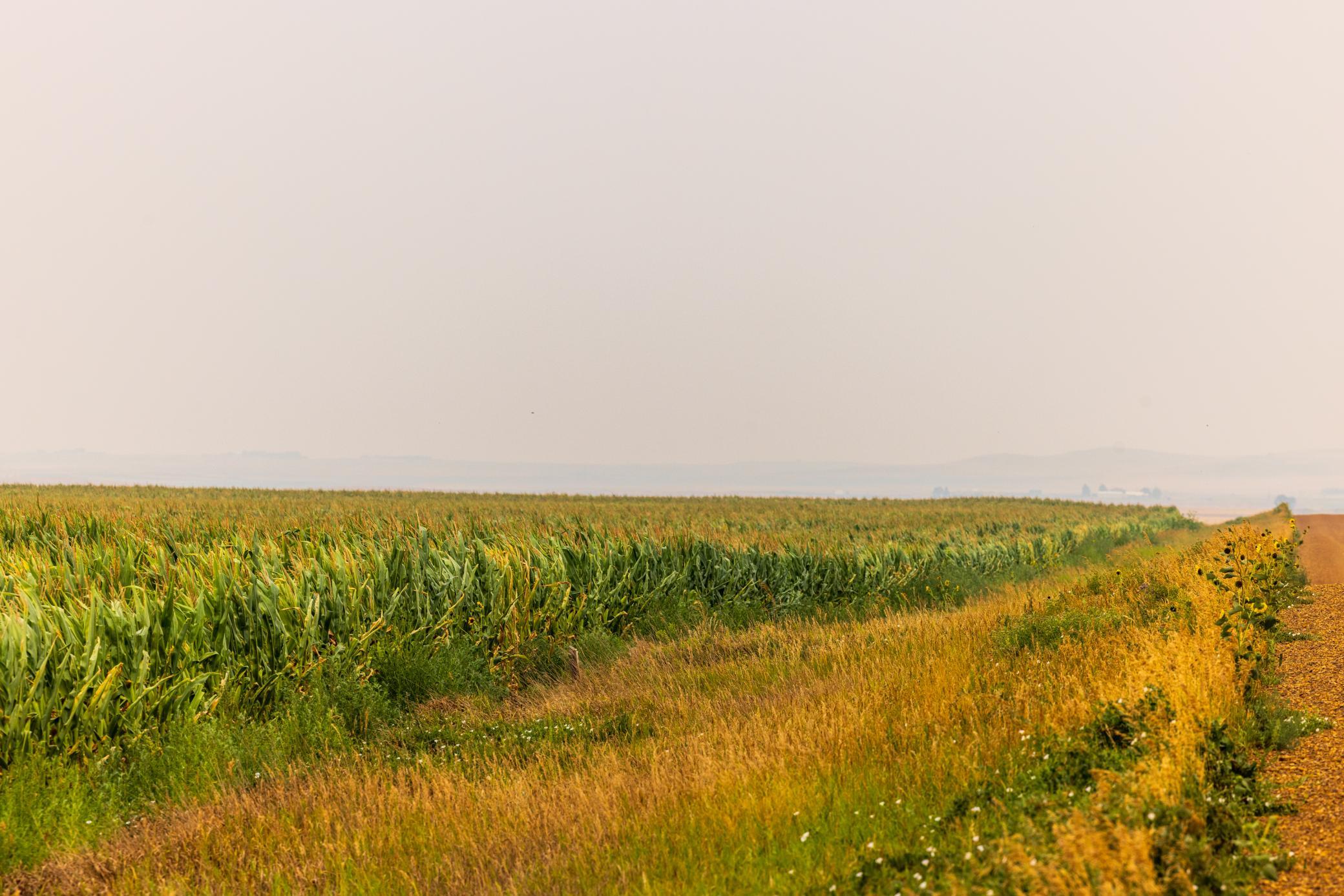 TBD Sec 26 30 St Se Lot 3, North Lemmon ND 58639 - Photo 16 of 39
