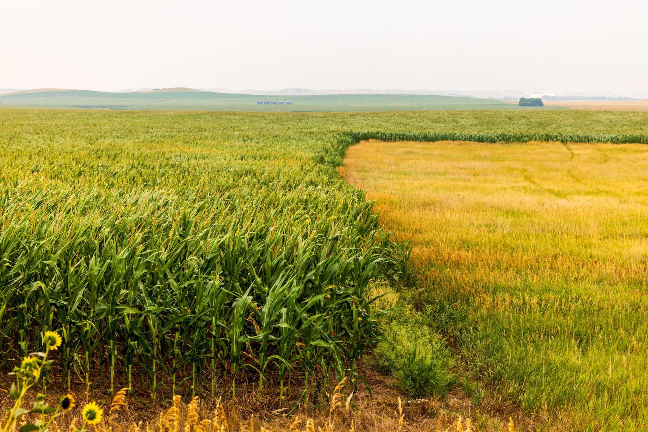TBD Sec 26 30 St Se Lot 3, North Lemmon ND 58639 - Photo 17 of 39