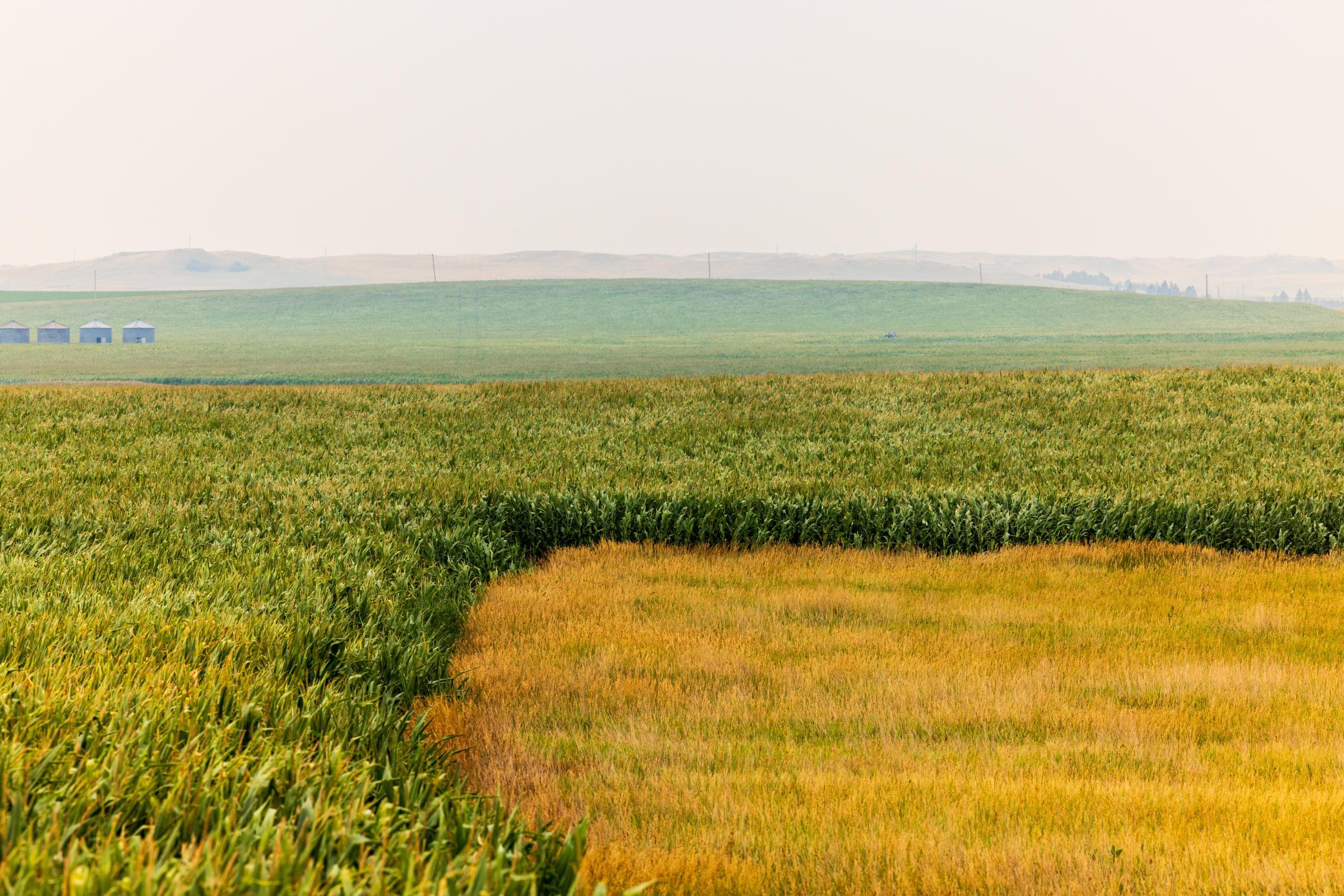 TBD Sec 26 30 St Se Lot 3, North Lemmon ND 58639 - Photo 19 of 39