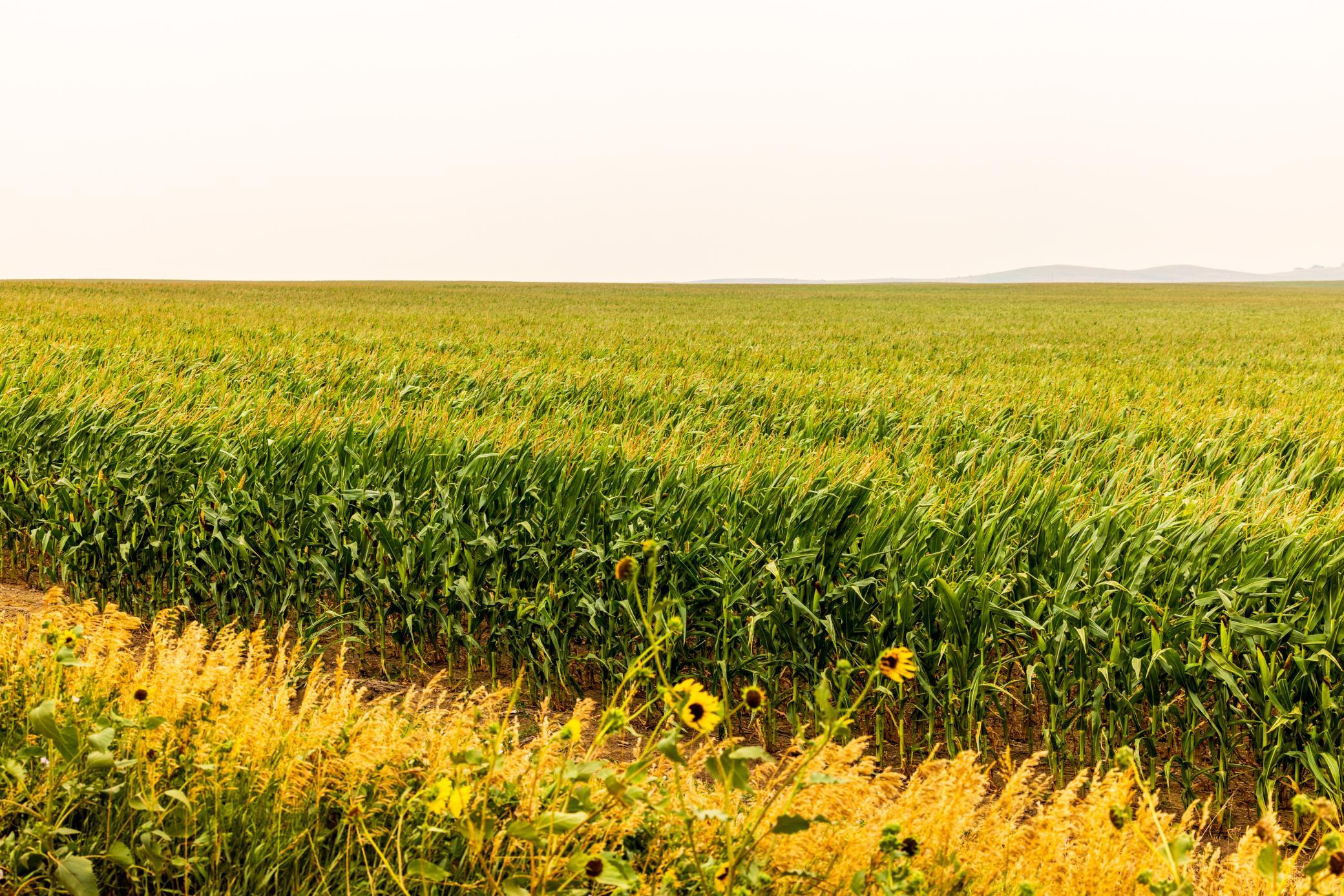 TBD Sec 26 30 St Se Lot 3, North Lemmon ND 58639 - Photo 21 of 39