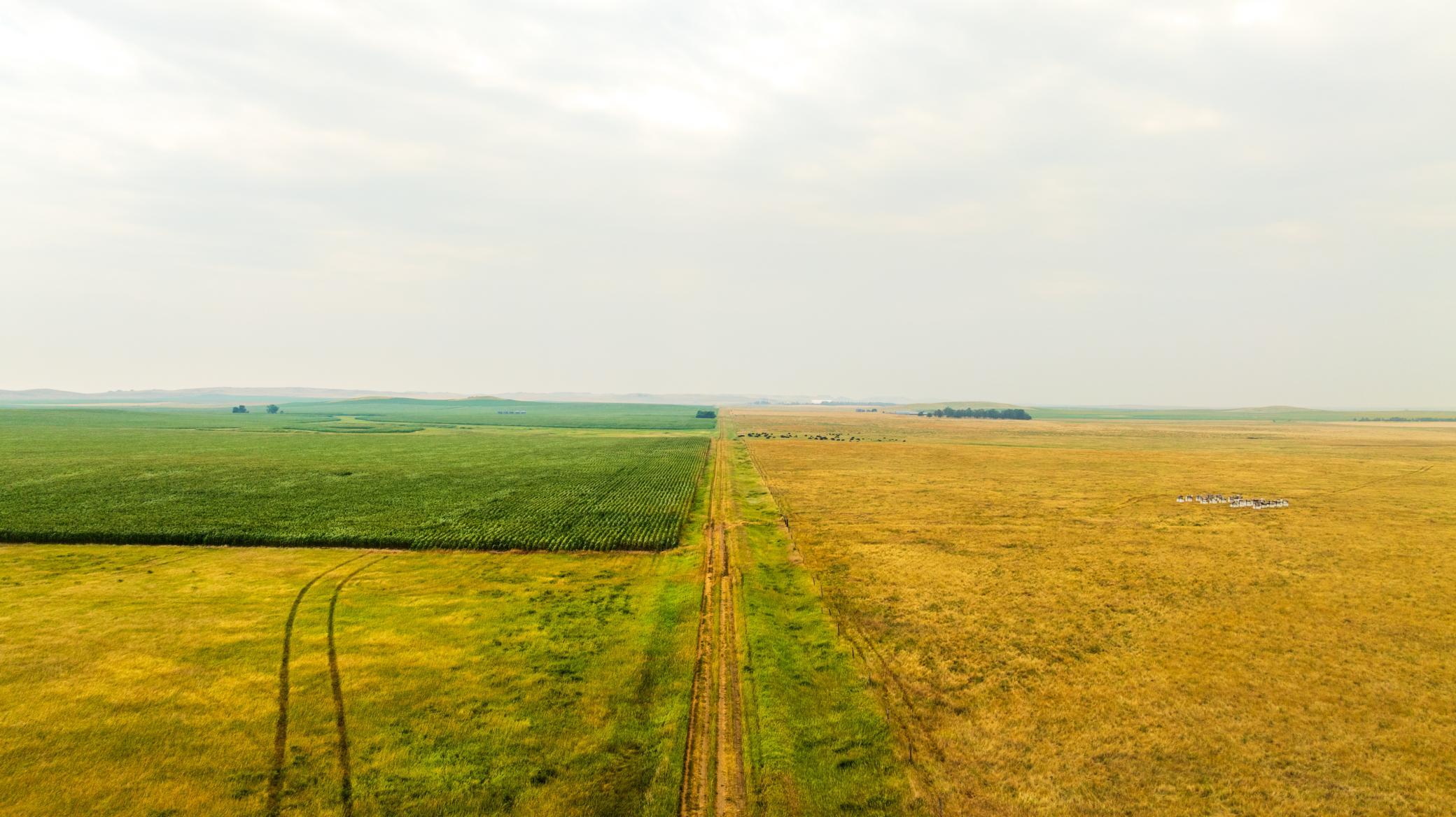 TBD Sec 26 30 St Se Lot 3, North Lemmon ND 58639 - Photo 26 of 39