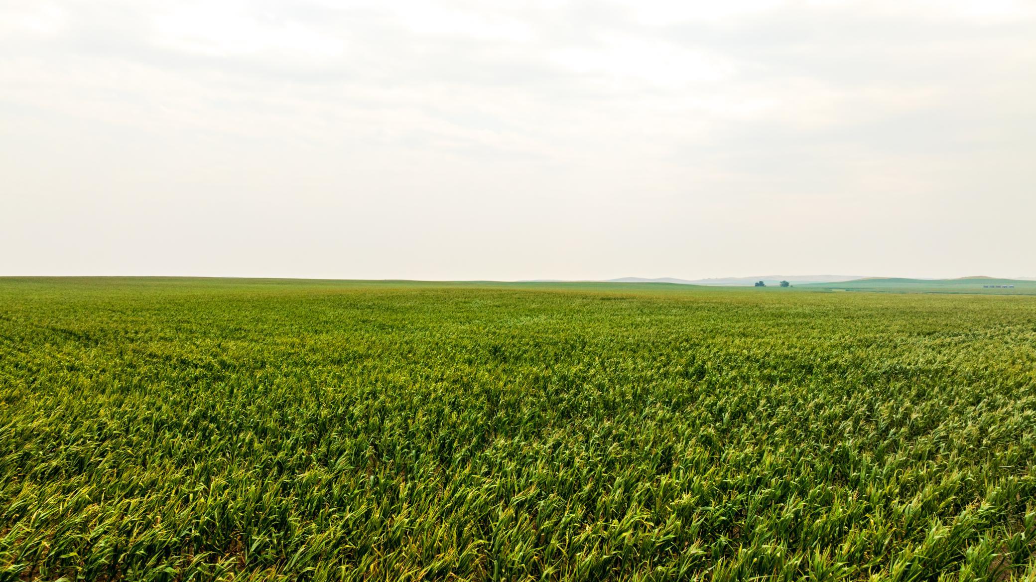TBD Sec 26 30 St Se Lot 3, North Lemmon ND 58639 - Photo 27 of 39