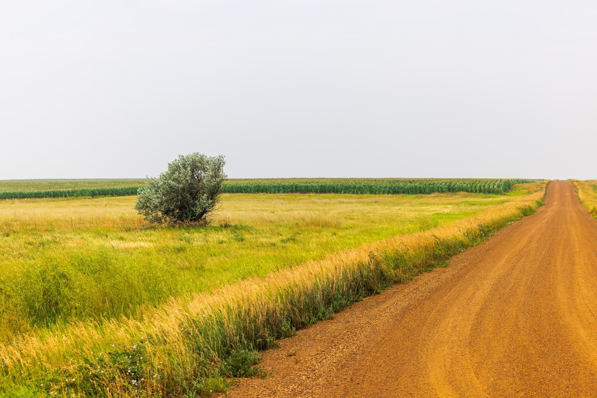 TBD Sec 26 30 St Se Lot 3, North Lemmon ND 58639 - Photo 4 of 39