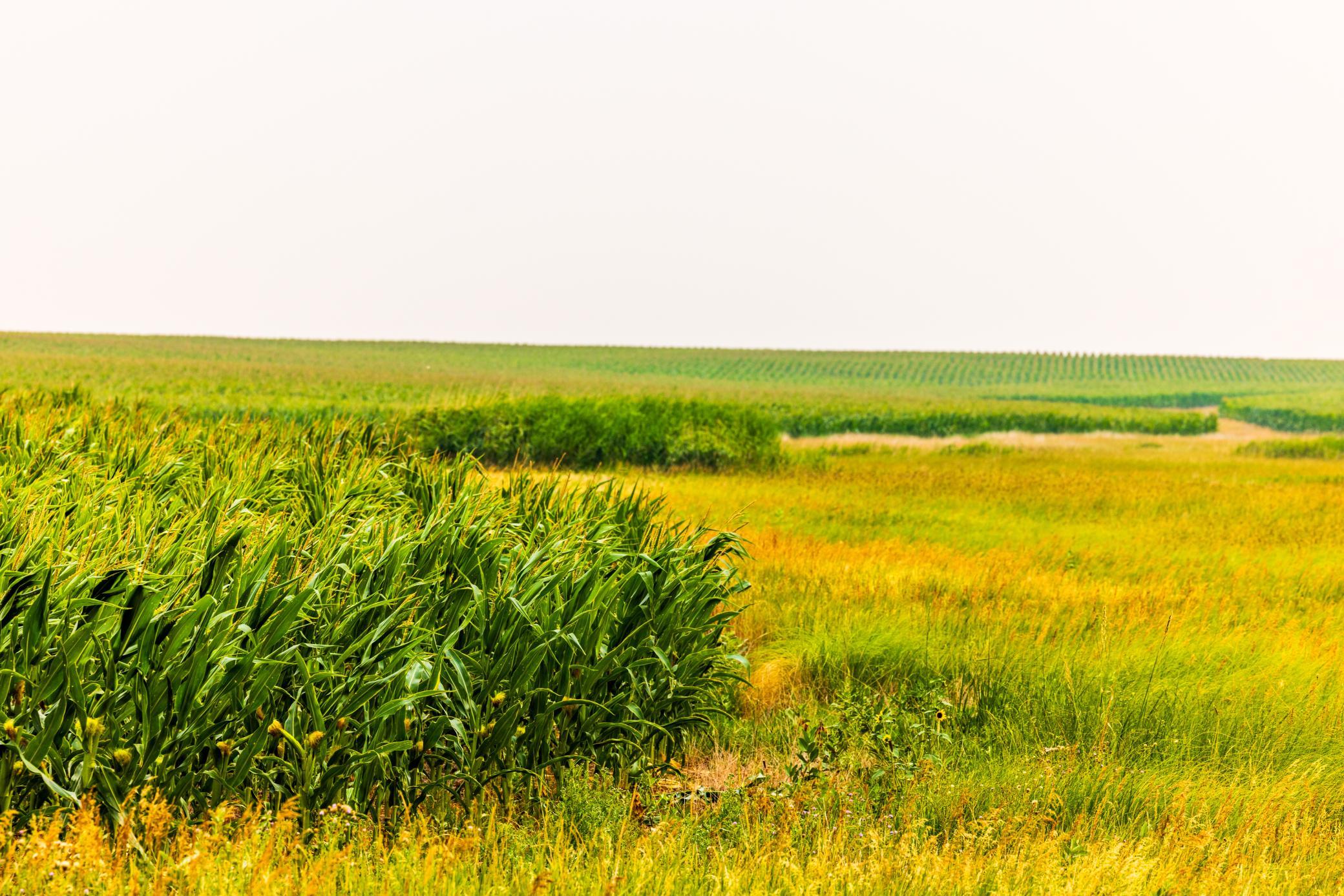 TBD Sec 26 30 St Se Lot 3, North Lemmon ND 58639 - Photo 33 of 39