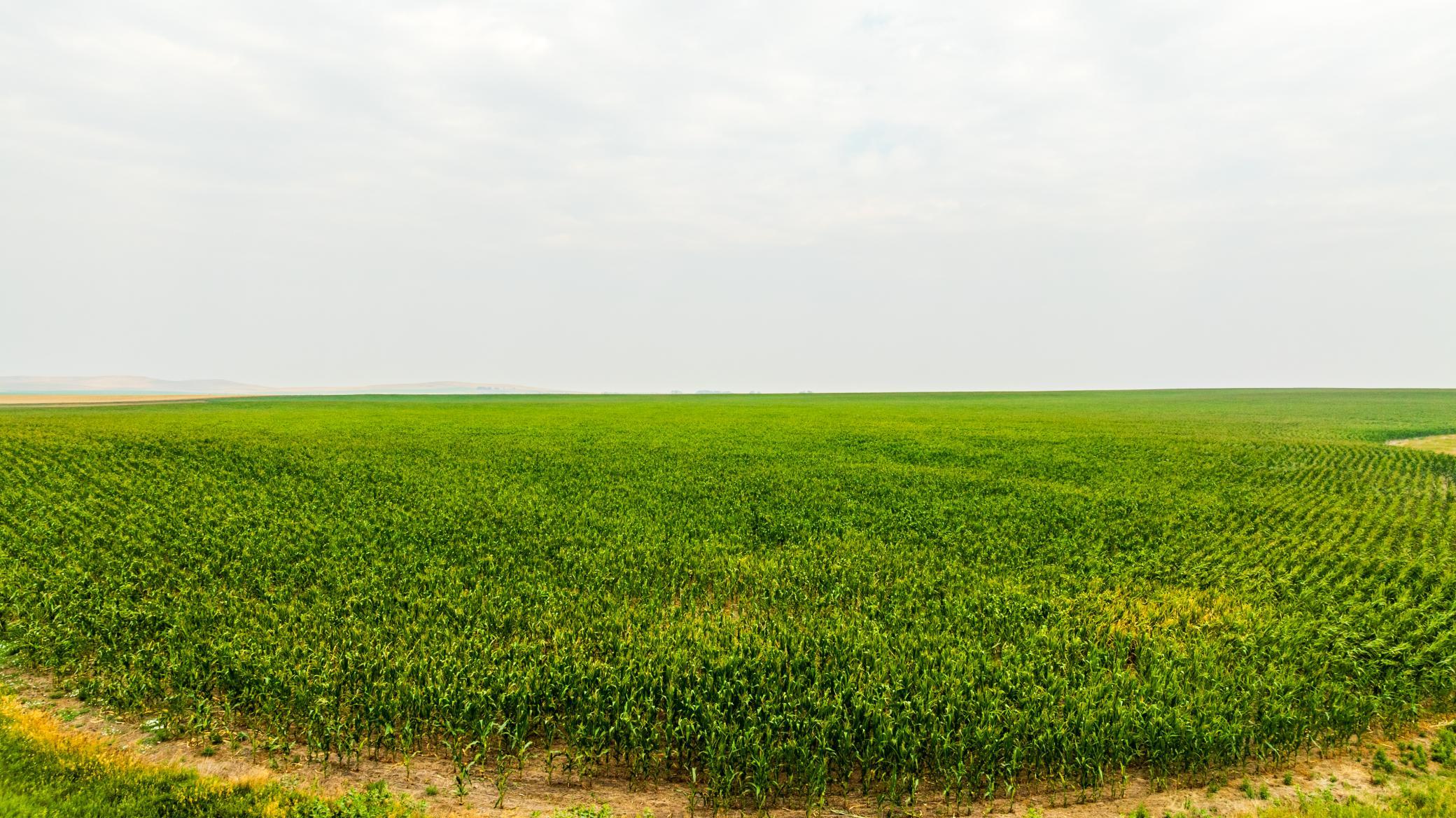 TBD Sec 26 30 St Se Lot 3, North Lemmon ND 58639 - Photo 35 of 39