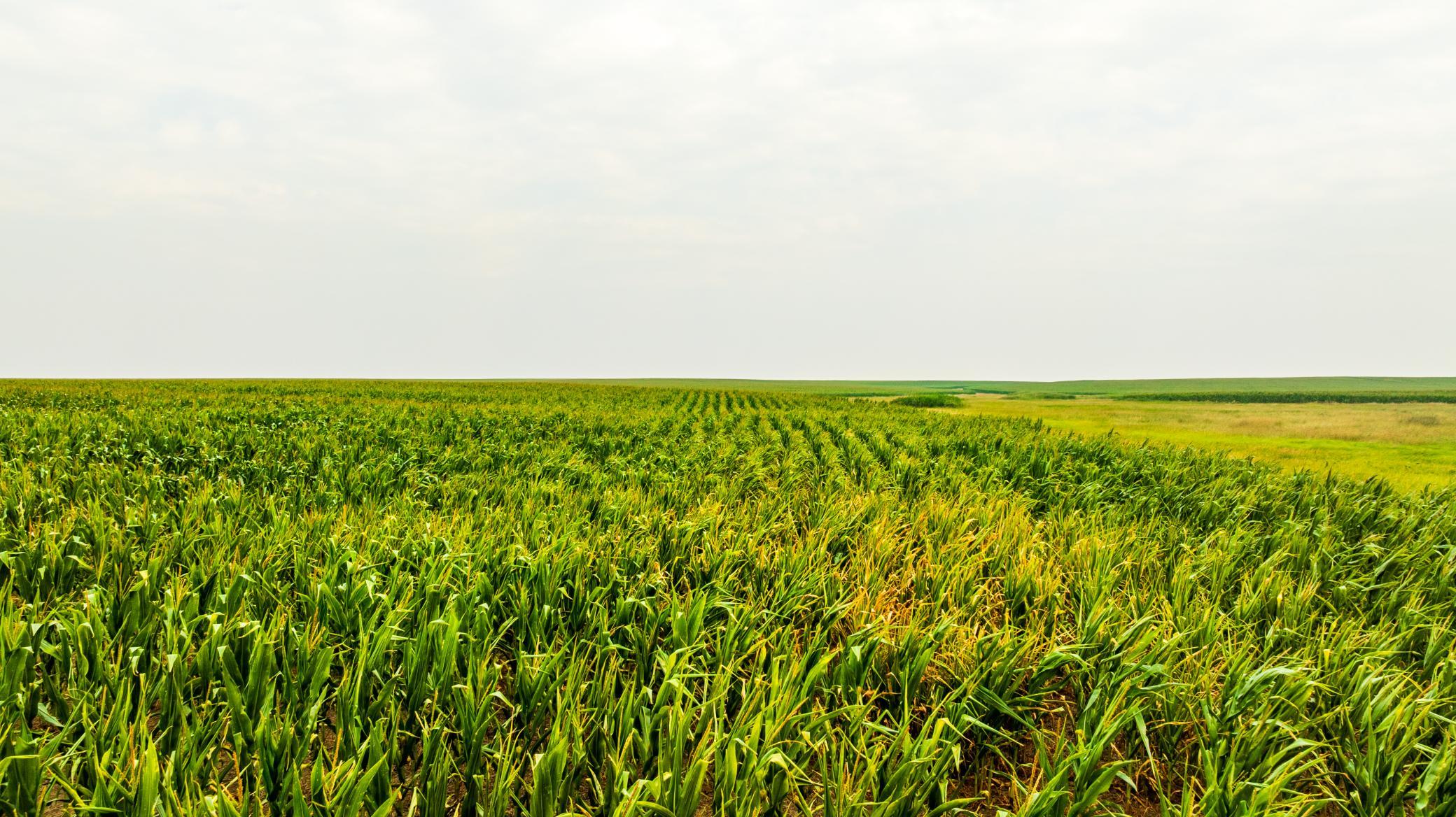 TBD Sec 26 30 St Se Lot 3, North Lemmon ND 58639 - Photo 37 of 39