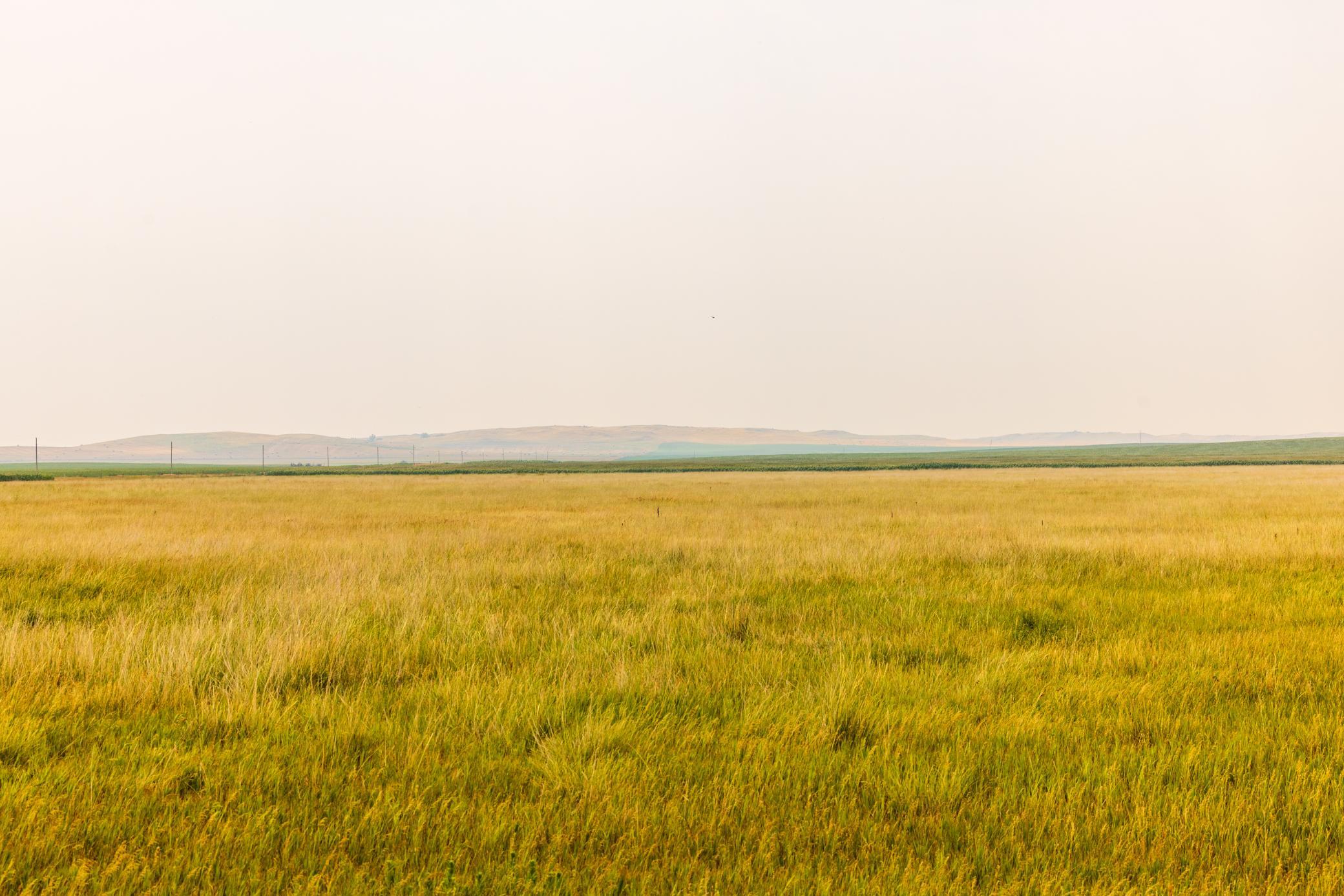 TBD Sec 26 30 St Se Lot 3, North Lemmon ND 58639 - Photo 5 of 39