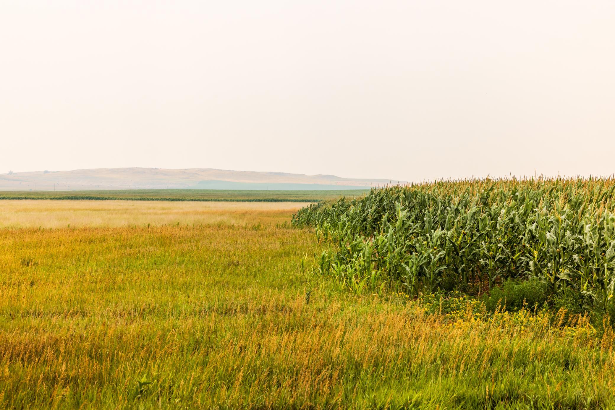 TBD Sec 26 30 St Se Lot 3, North Lemmon ND 58639 - Photo 6 of 39