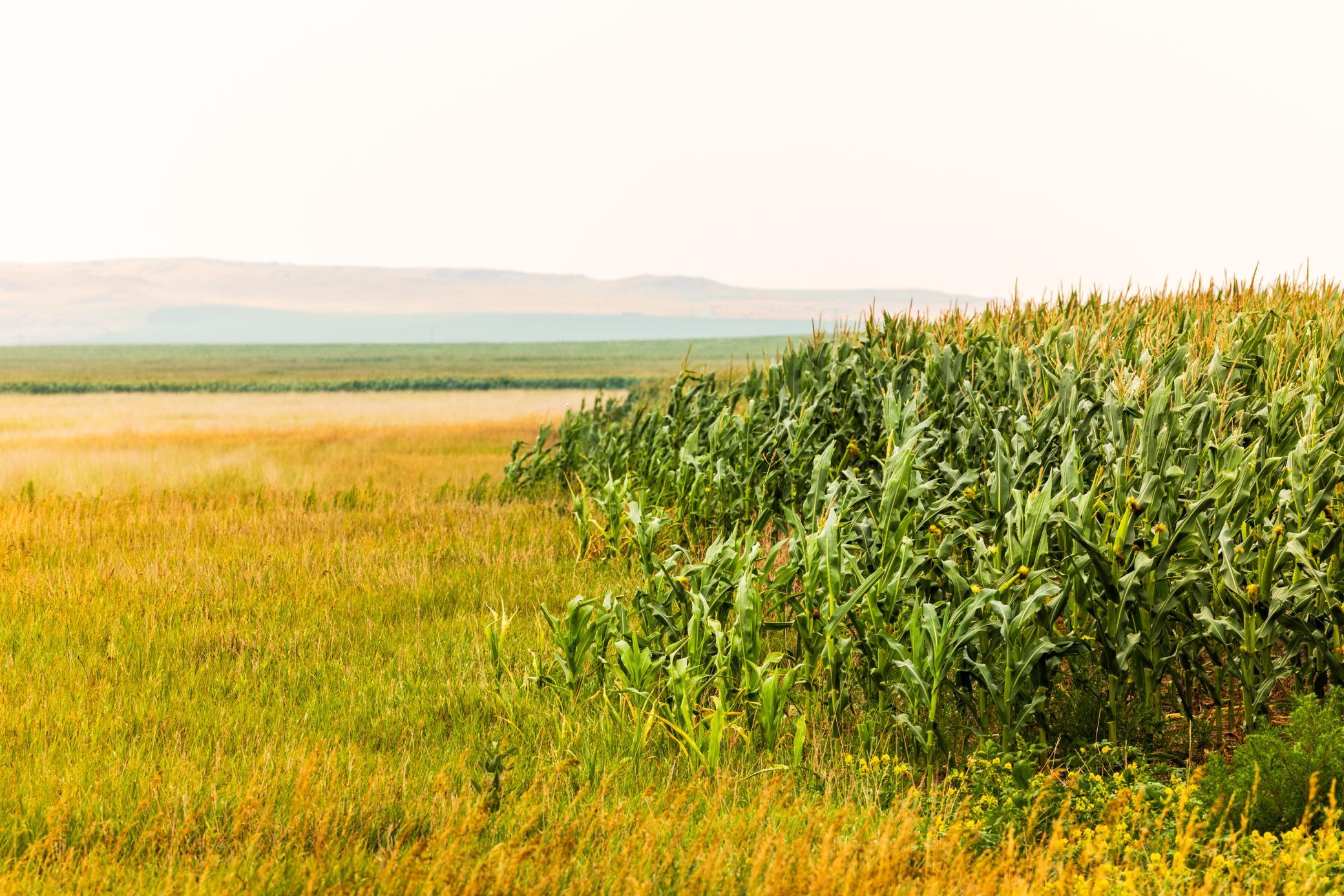 TBD Sec 26 30 St Se Lot 3, North Lemmon ND 58639 - Photo 7 of 39