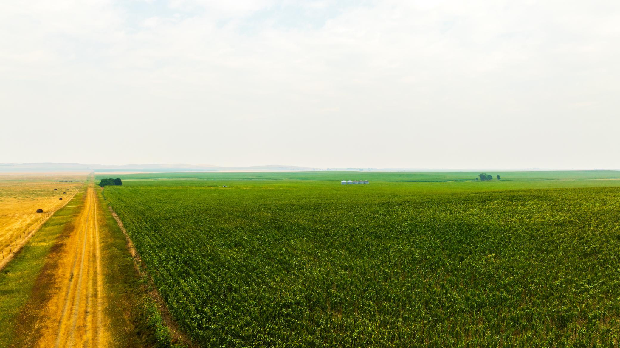 TBD Sec 26 4 Ave Se Lot 4, North Lemmon ND 58639 - Photo 17 of 29