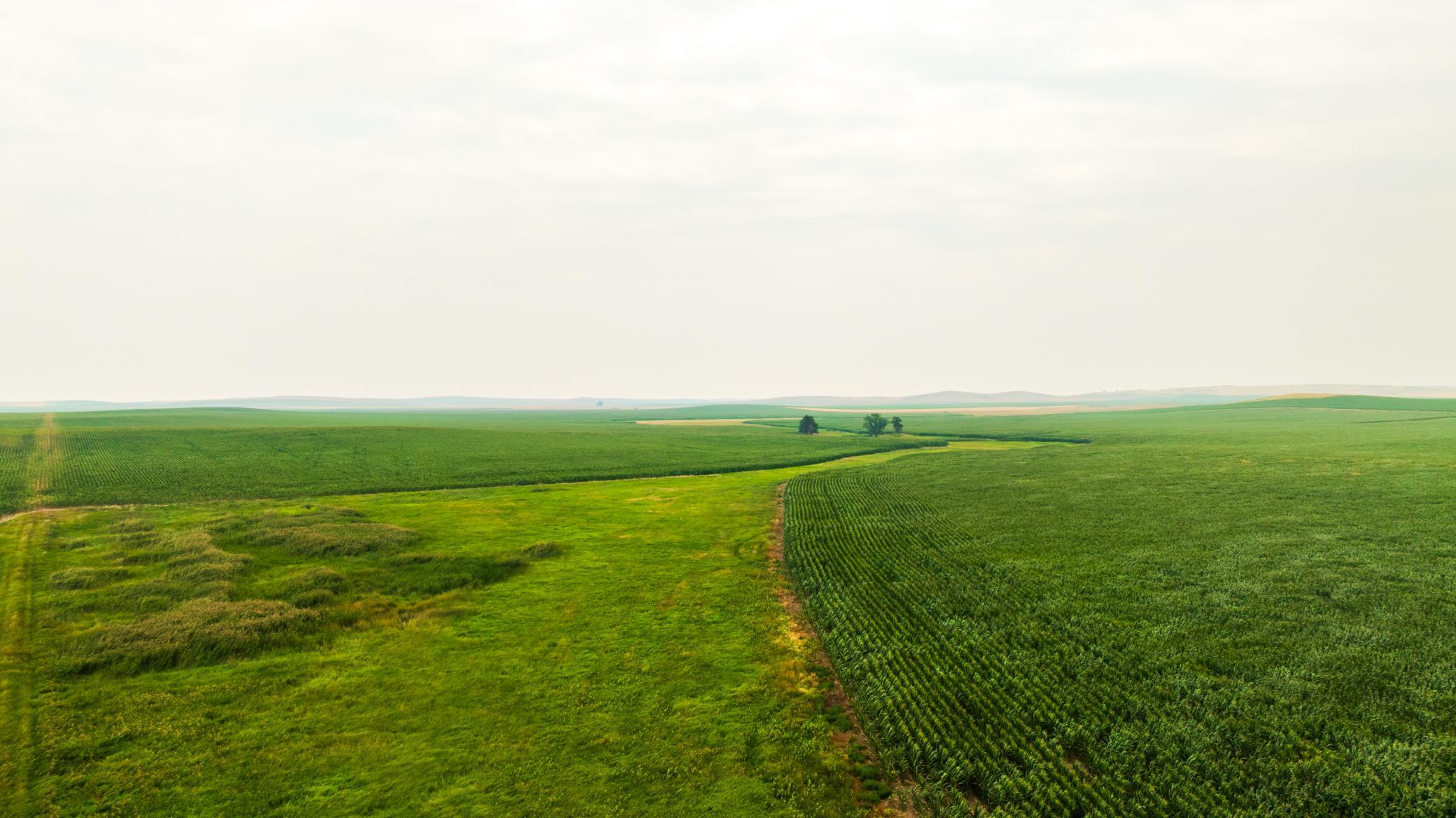TBD Sec 26 4 Ave Se Lot 4, North Lemmon ND 58639 - Photo 3 of 29
