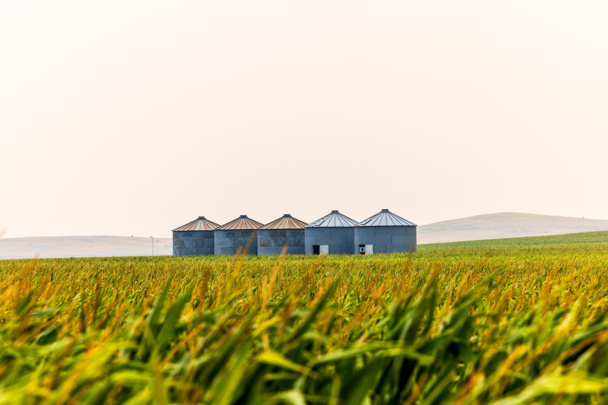TBD Sec 26 4 Ave Se Lot 4, North Lemmon ND 58639 - Photo 9 of 29