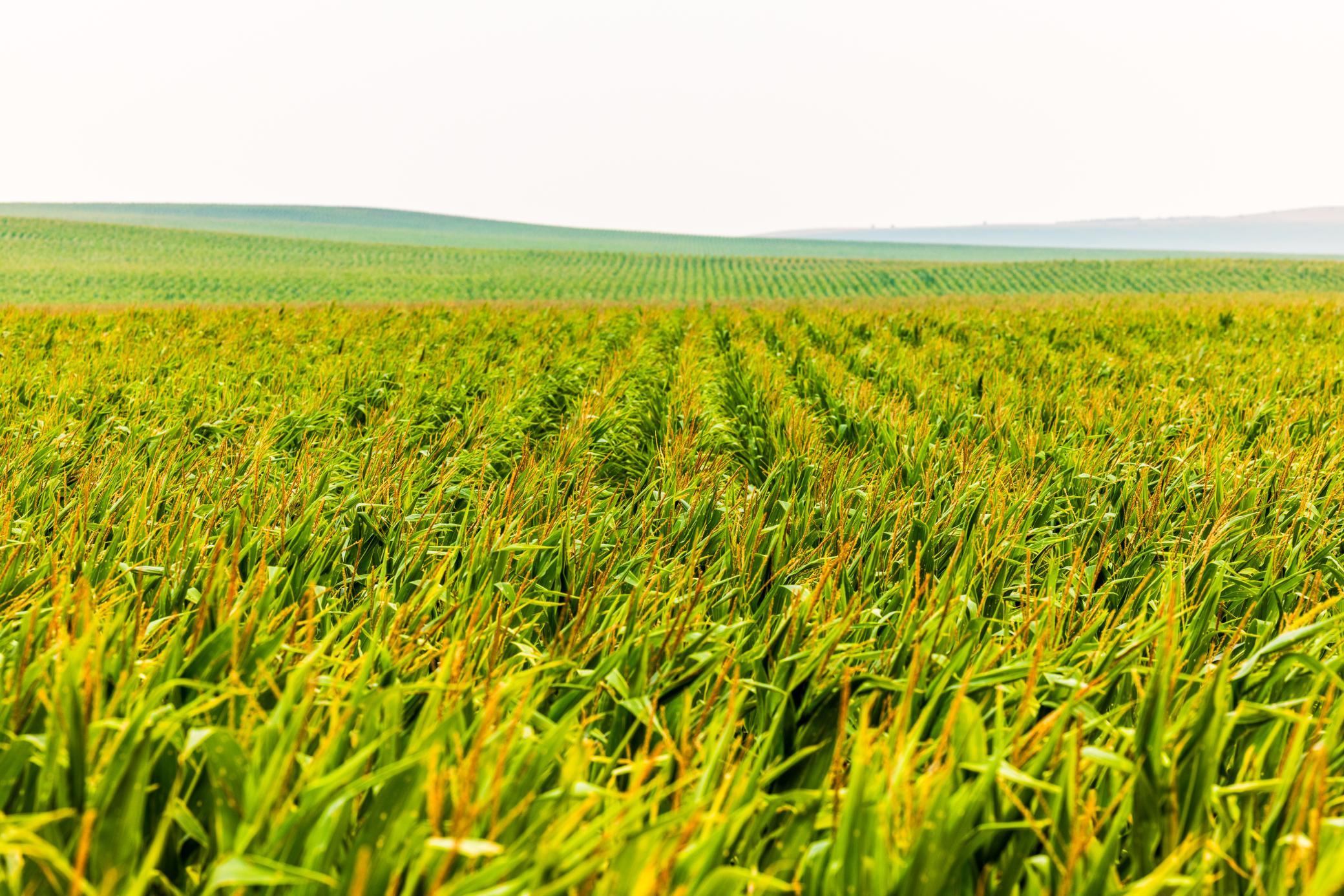 TBD Sec 25 3 Ave Se Lot 5, North Lemmon ND 58639 - Photo 11 of 28