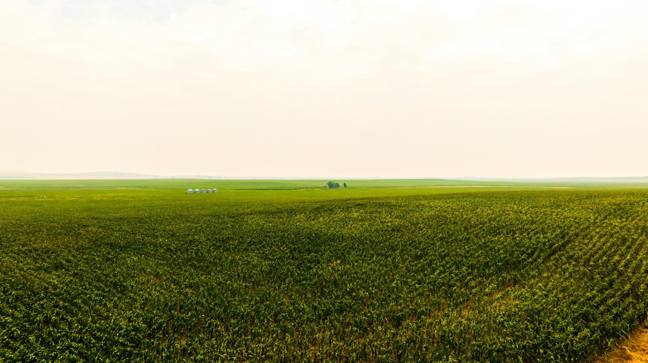 TBD Sec 25 3 Ave Se Lot 5, North Lemmon ND 58639 - Photo 16 of 28