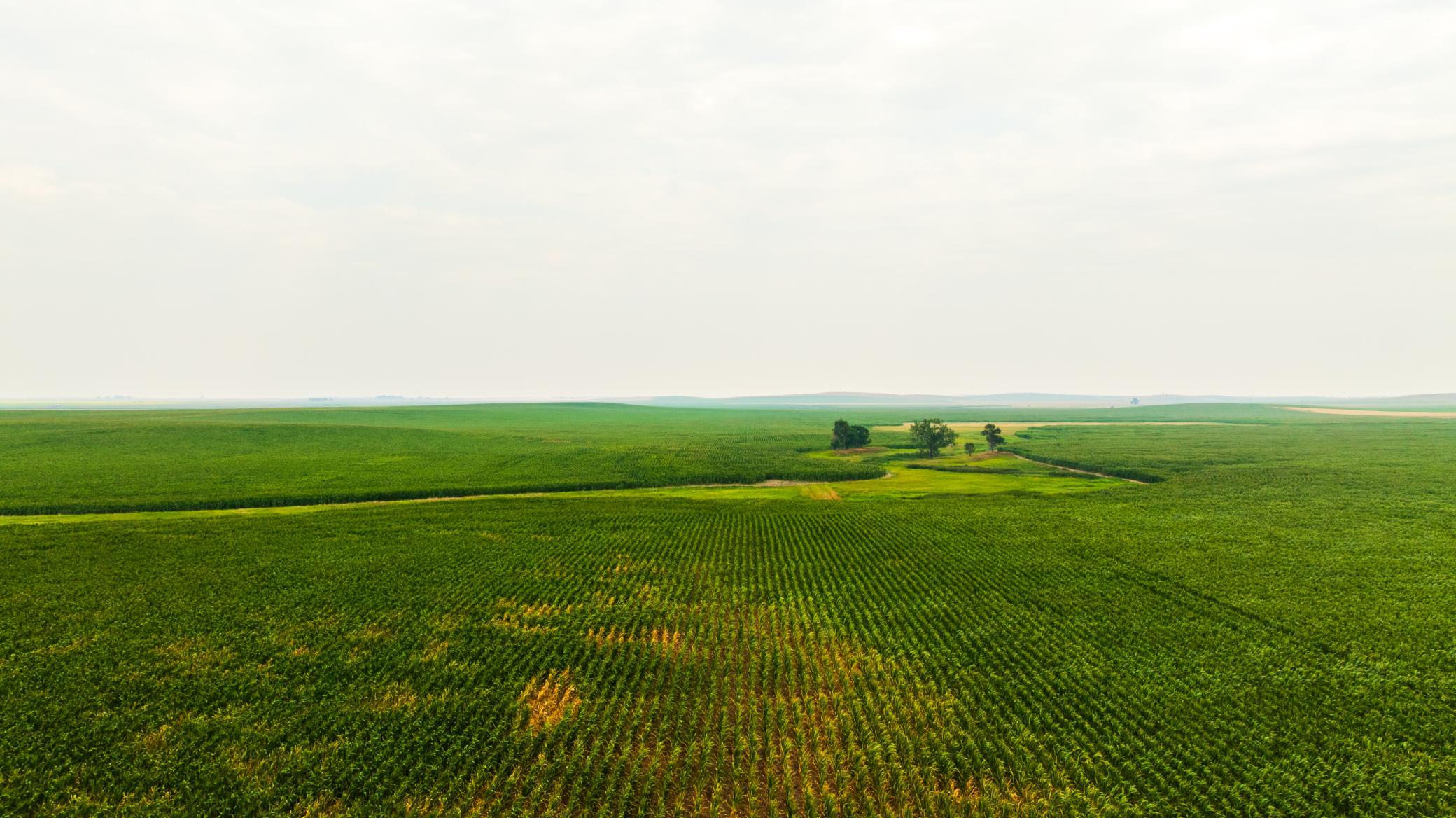TBD Sec 25 3 Ave Se Lot 5, North Lemmon ND 58639 - Photo 5 of 28