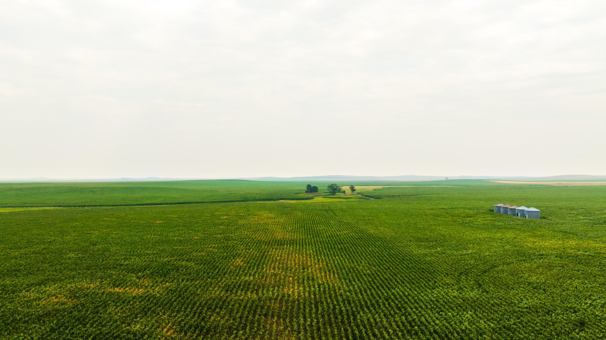 TBD Sec 25 3 Ave Se Lot 5, North Lemmon ND 58639 - Photo 7 of 28