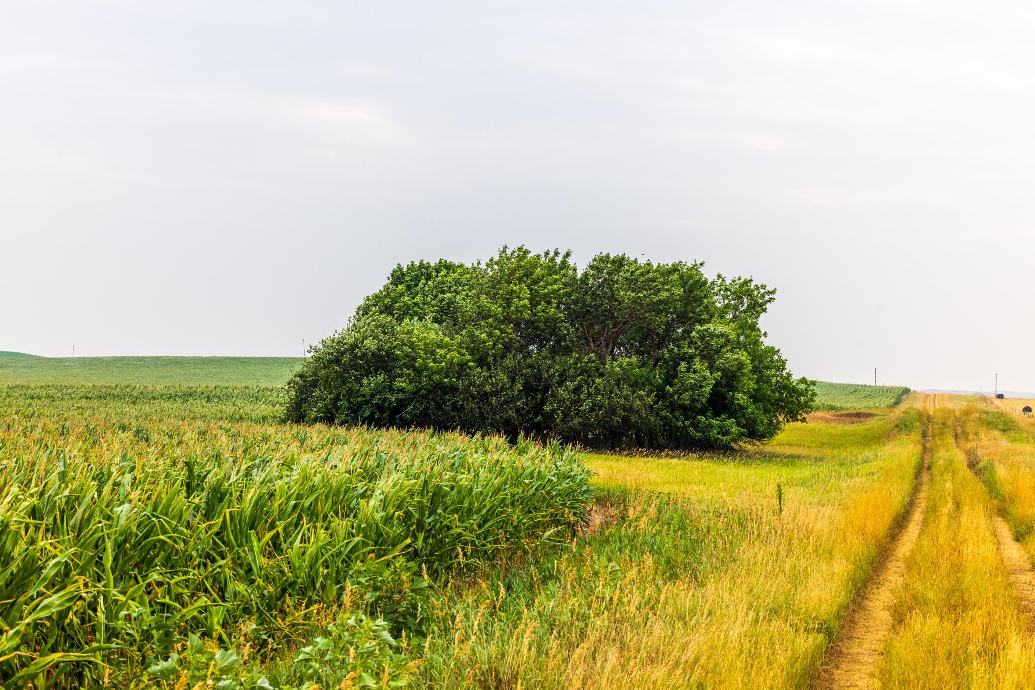 TBD Sec 25 3 Ave Se Lot 5, North Lemmon ND 58639 - Photo 10 of 28