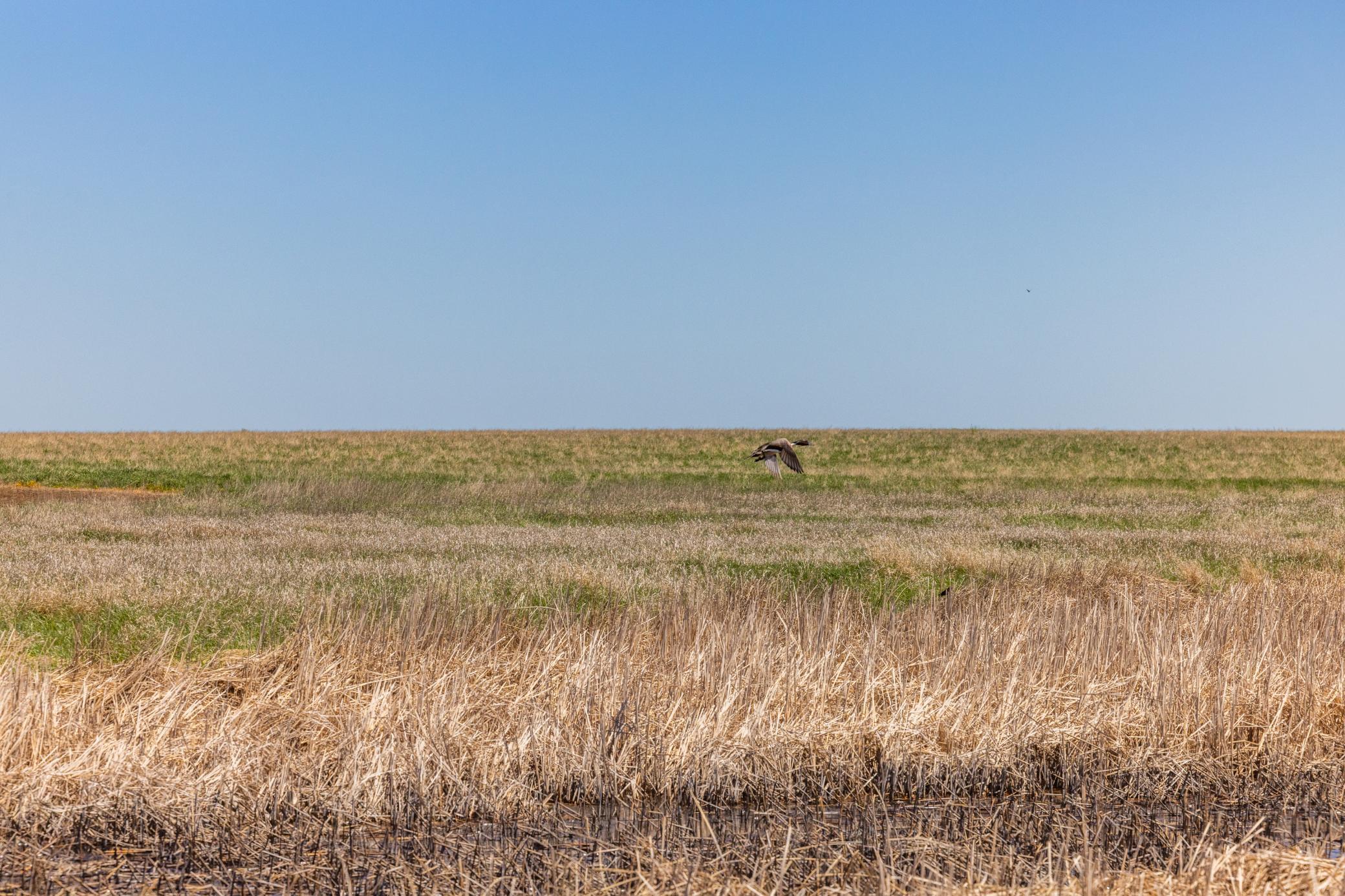 TBD Sec 25 31 St Se Lot 6, North Lemmon ND 58639 - Photo 20 of 23