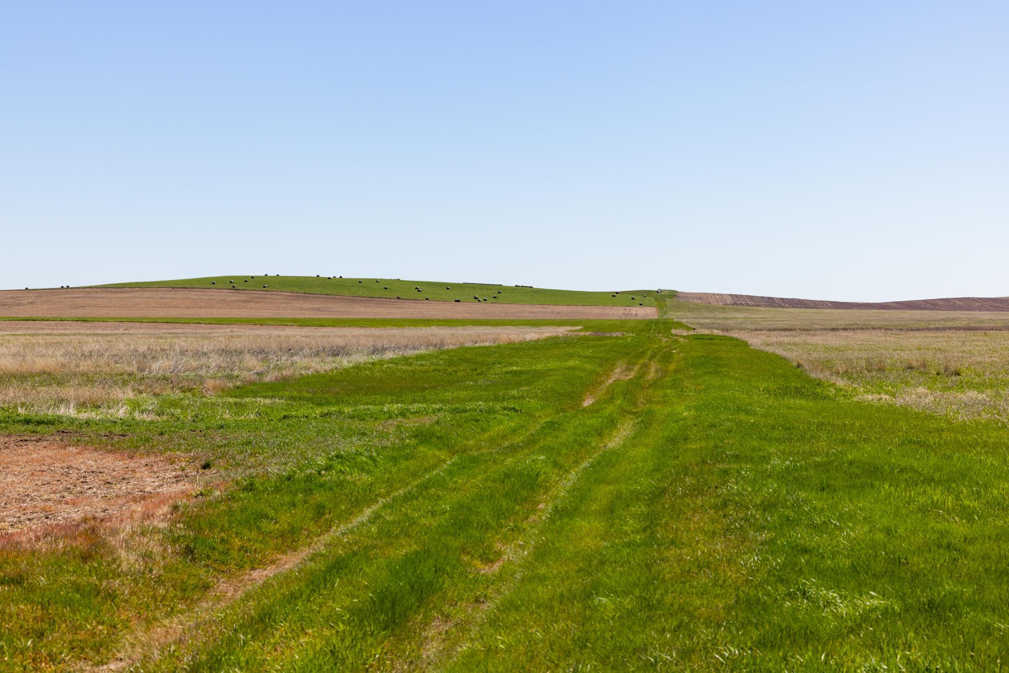 TBD Sec 25 31 St Se Lot 6, North Lemmon ND 58639 - Photo 3 of 23