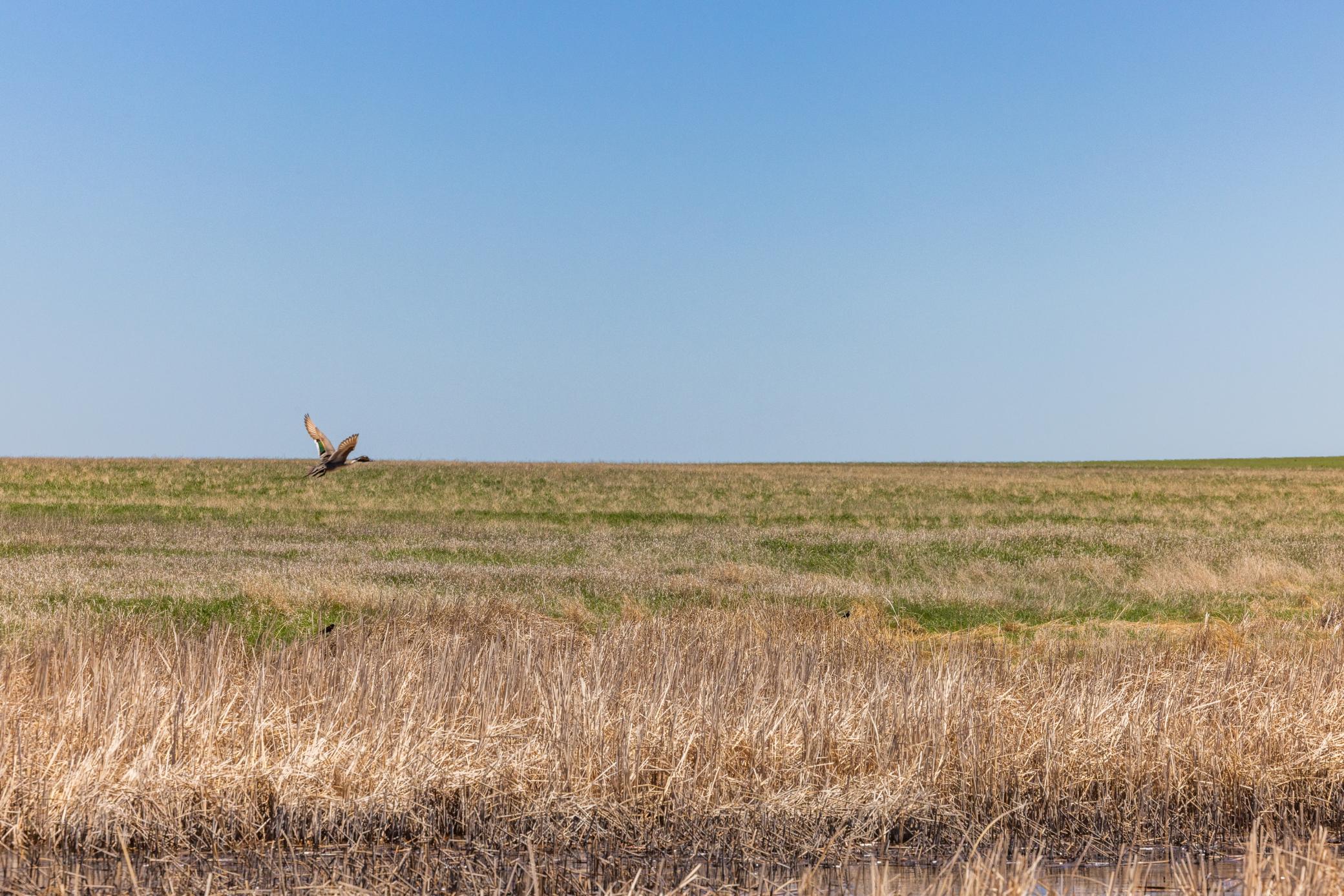TBD Sec 25 31 St Se Lot 6, North Lemmon ND 58639 - Photo 21 of 23