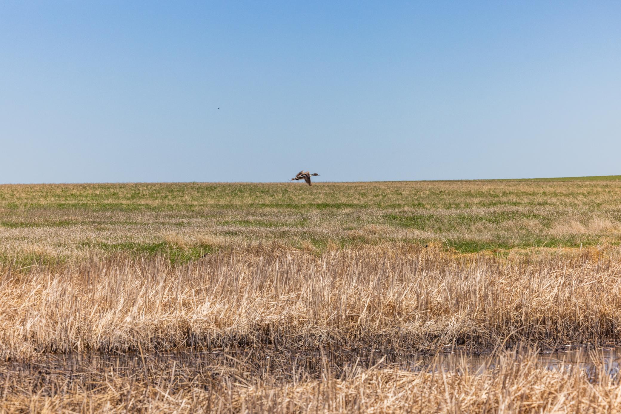 TBD Sec 25 31 St Se Lot 6, North Lemmon ND 58639 - Photo 22 of 23