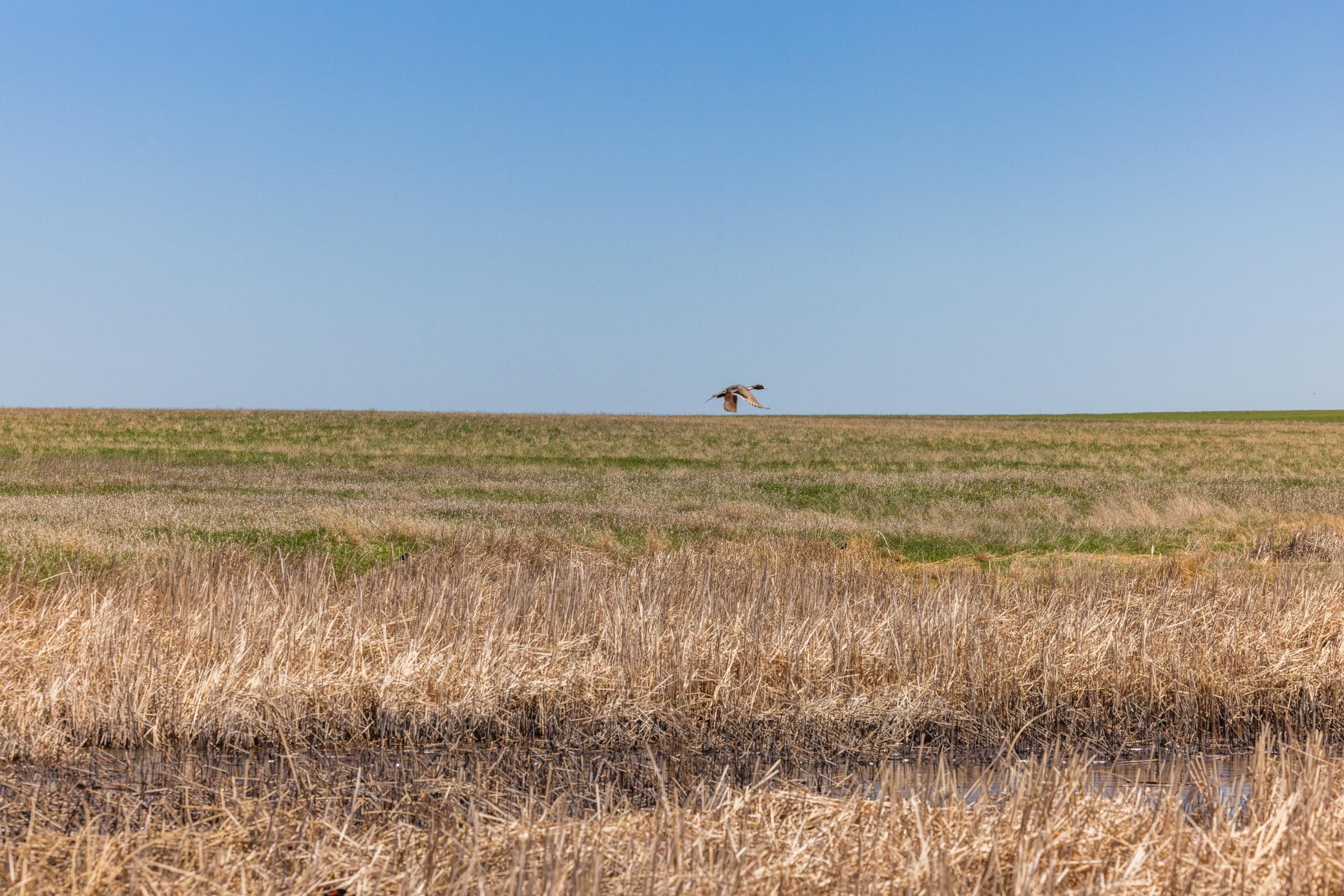 TBD Sec 25 31 St Se Lot 6, North Lemmon ND 58639 - Photo 23 of 23