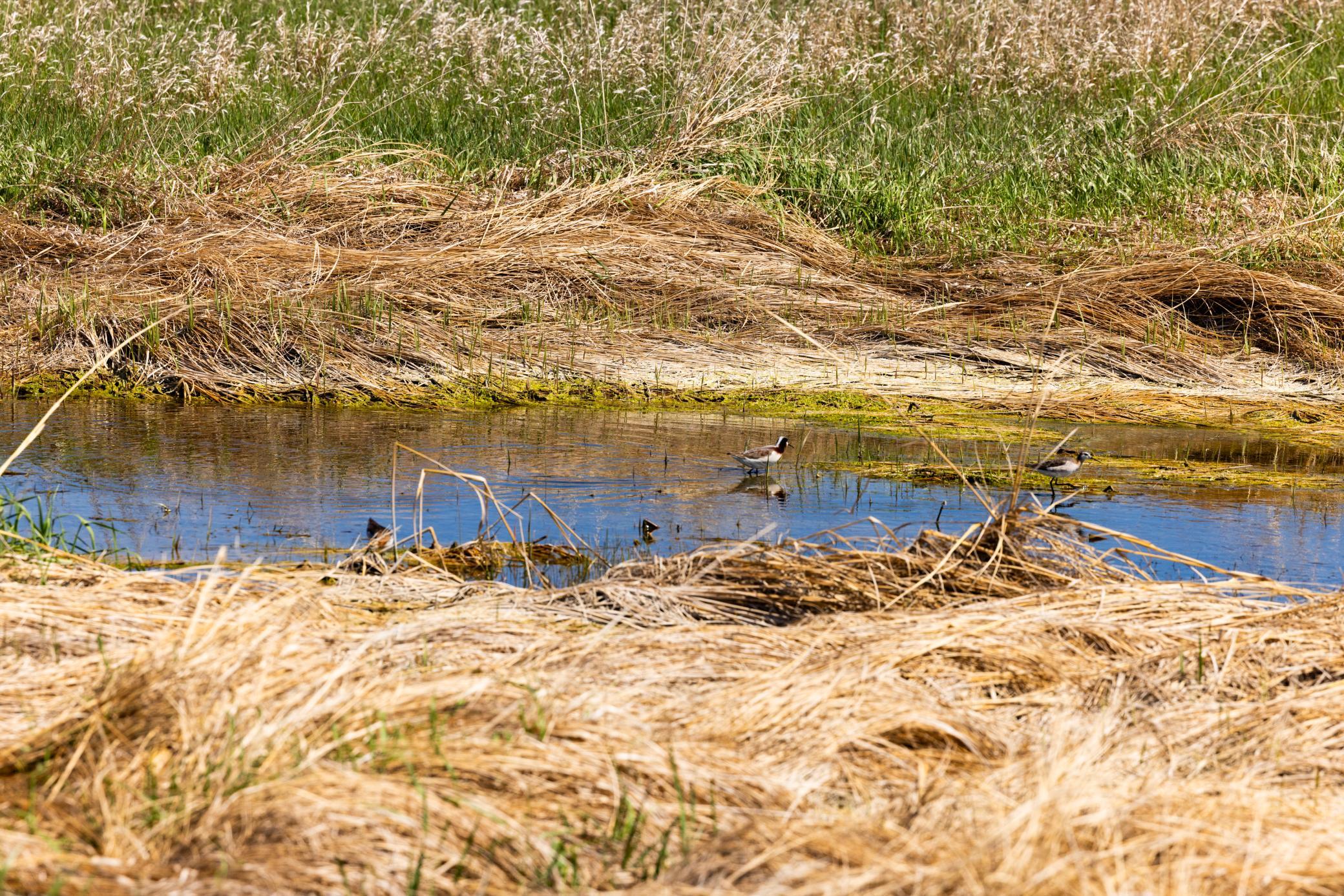TBD Sec 25 31 St Se Lot 6, North Lemmon ND 58639 - Photo 6 of 23