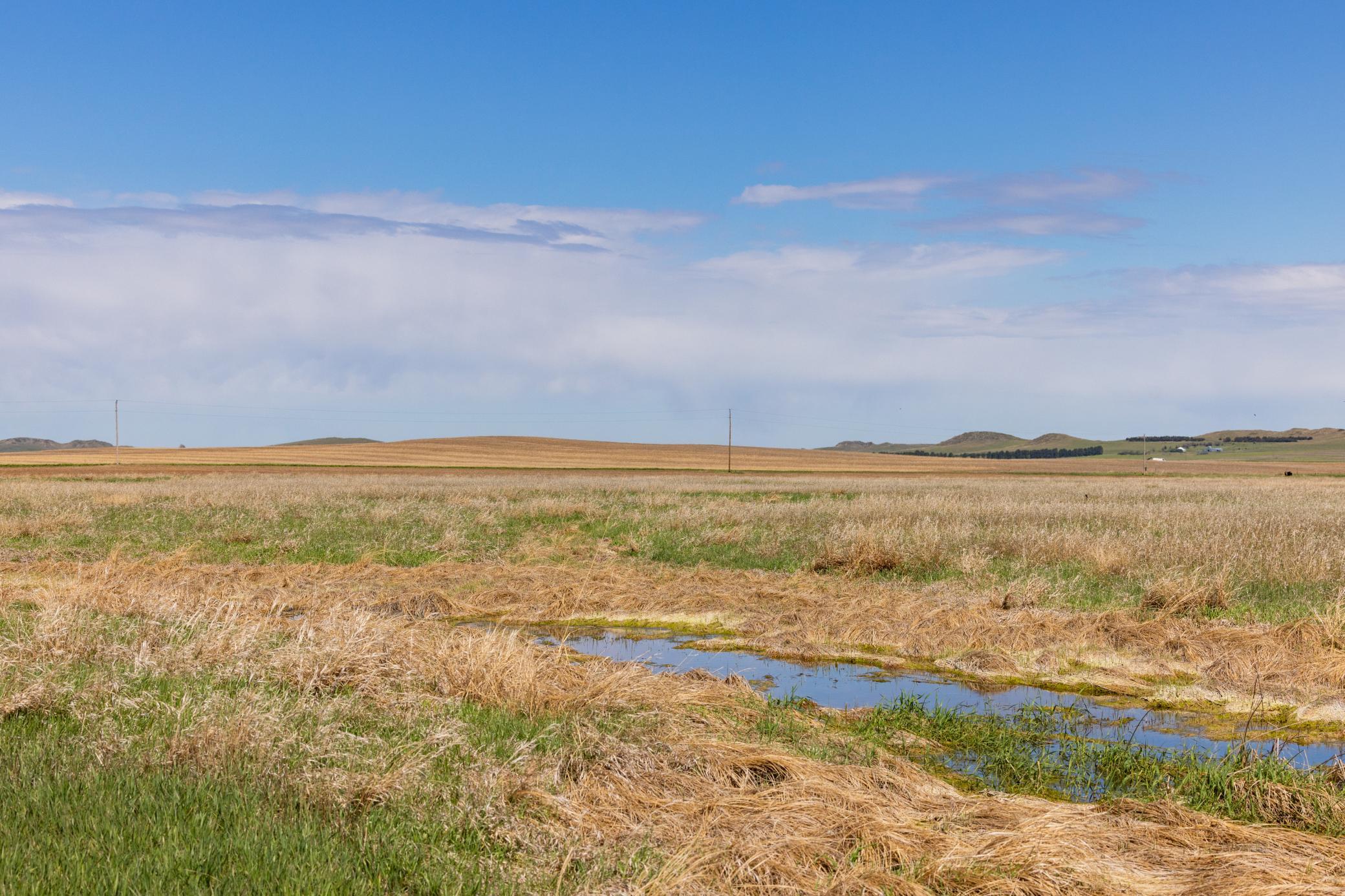TBD Sec 25 31 St Se Lot 6, North Lemmon ND 58639 - Photo 9 of 23