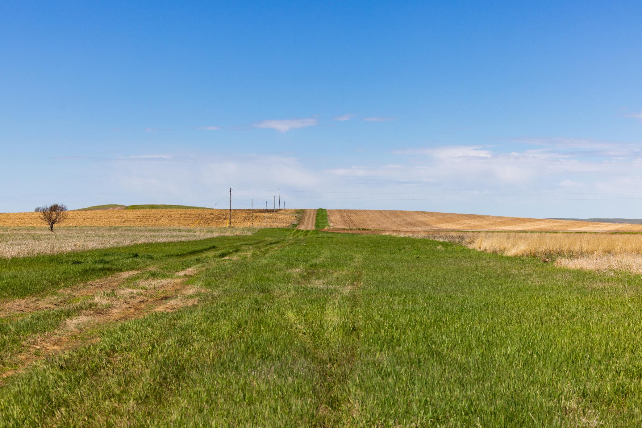 TBD Sec 25 31 St Se Lot 6, North Lemmon ND 58639 - Photo 10 of 23