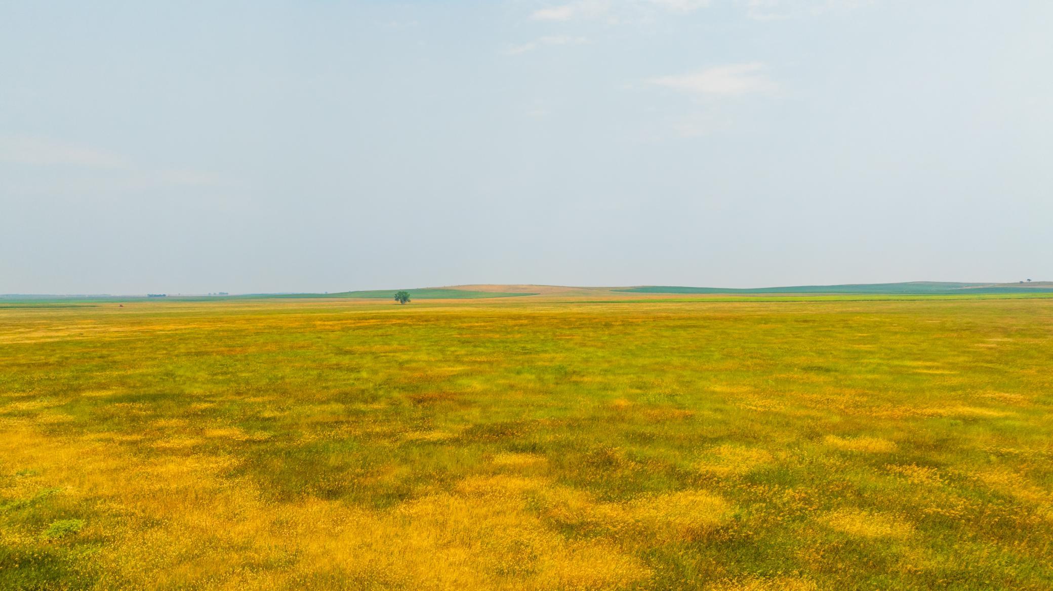 TBD Sec 36 4 Ave Se Lot 7, North Lemmon ND 58639 - Photo 11 of 15