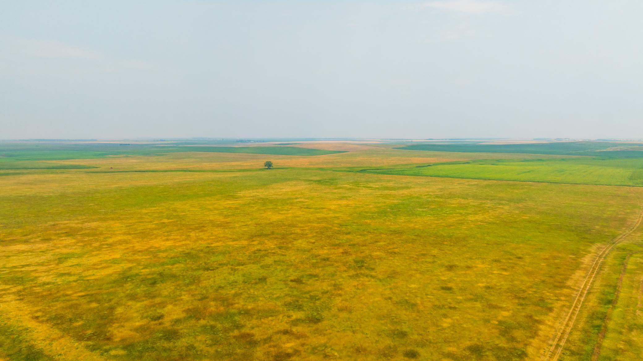 TBD Sec 36 4 Ave Se Lot 7, North Lemmon ND 58639 - Photo 12 of 15