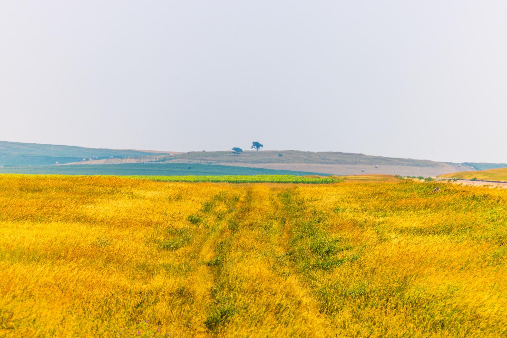 TBD Sec 36 4 Ave Se Lot 7, North Lemmon ND 58639 - Photo 14 of 15