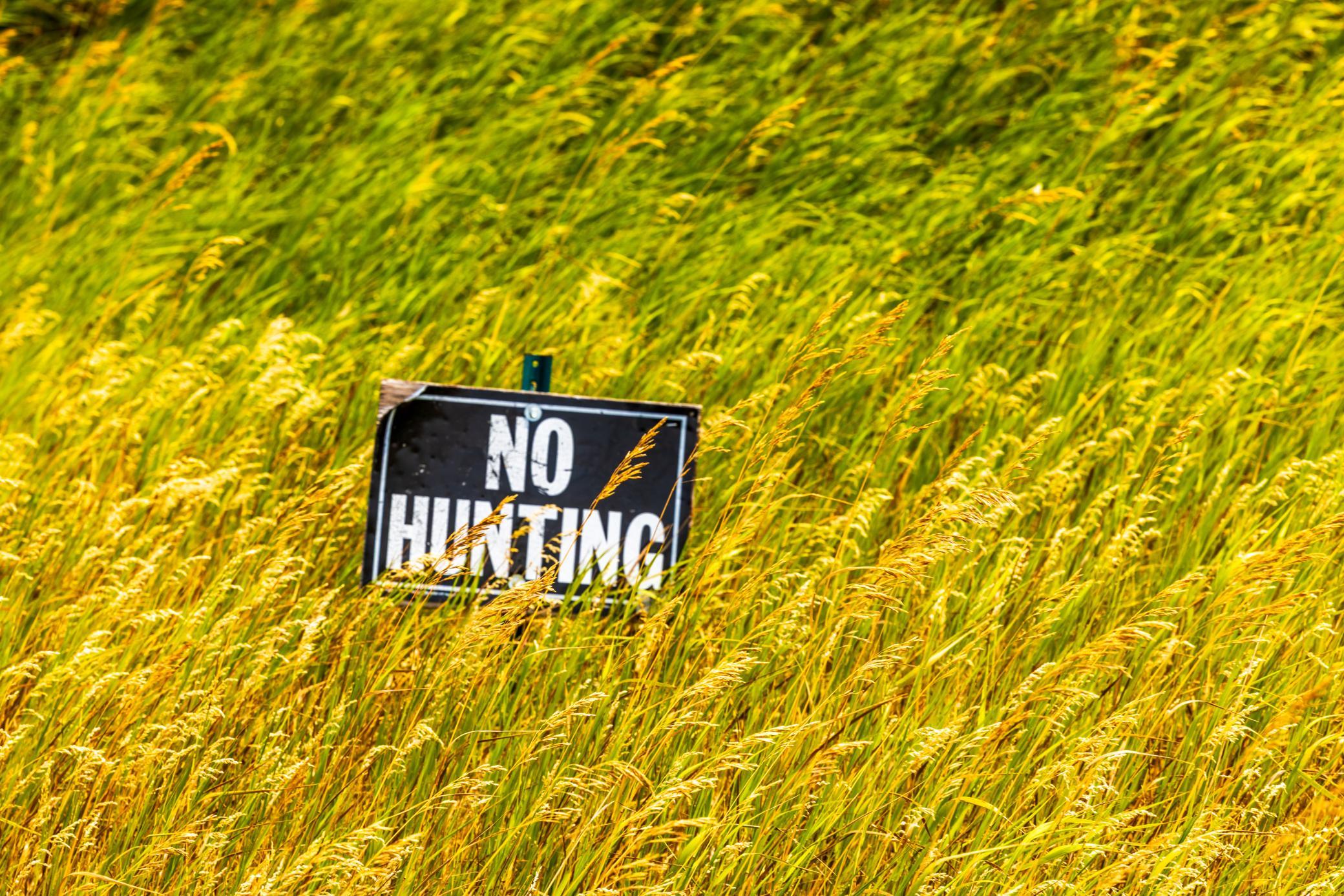 TBD Sec 36 4 Ave Se Lot 7, North Lemmon ND 58639 - Photo 15 of 15