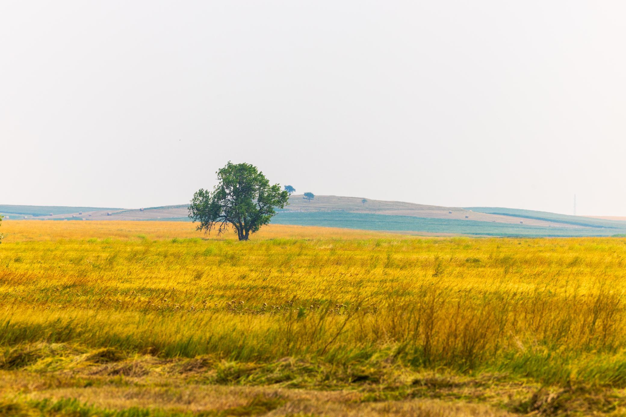 TBD Sec 36 4 Ave Se Lot 7, North Lemmon ND 58639 - Photo 4 of 15