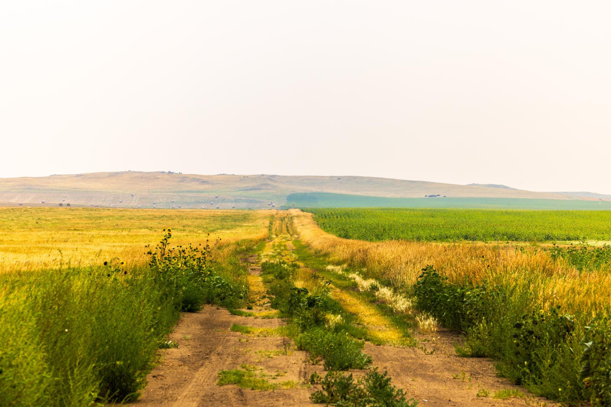 TBD Sec 36 4 Ave Se Lot 7, North Lemmon ND 58639 - Photo 5 of 15