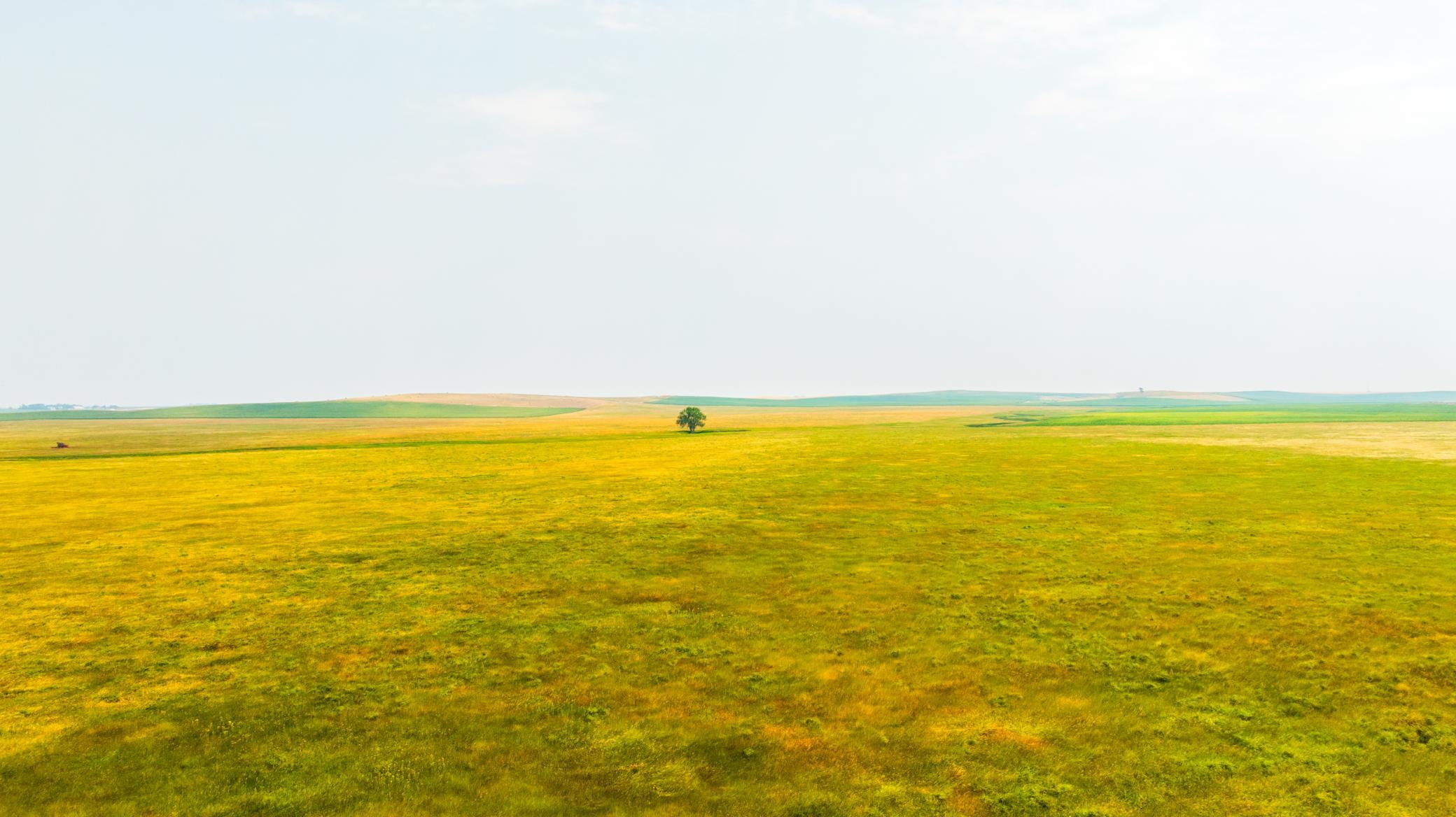TBD Sec 36 4 Ave Se Lot 7, North Lemmon ND 58639 - Photo 10 of 15
