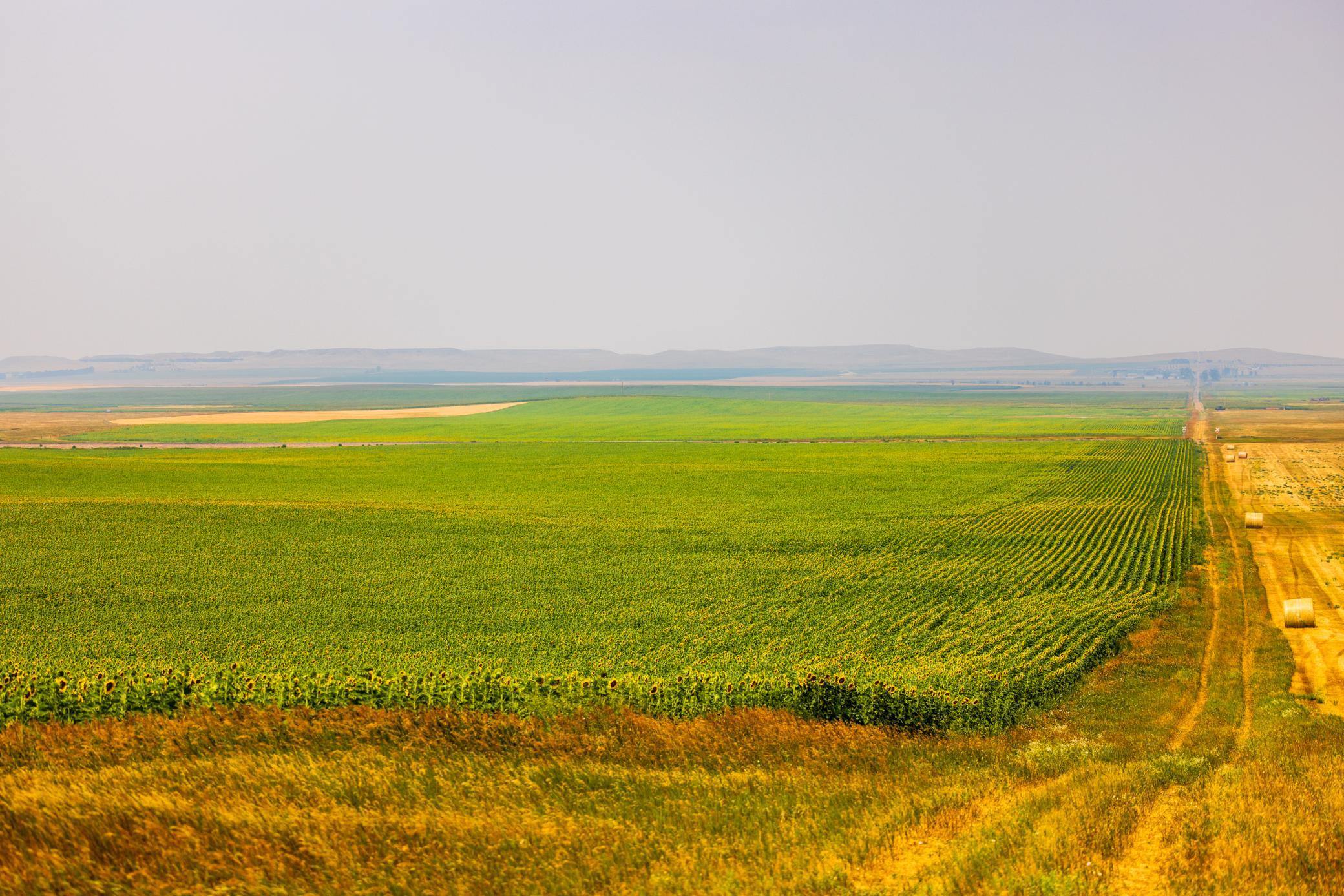 TBD Sec 35 31 St Se Lot 8, North Lemmon ND 58639 - Photo 30 of 34