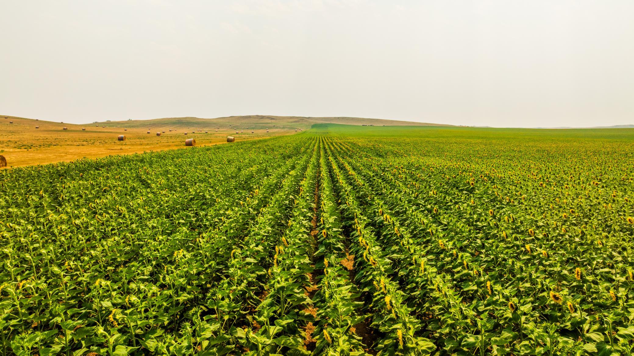 TBD Sec 35 31 St Se Lot 8, North Lemmon ND 58639 - Photo 4 of 34